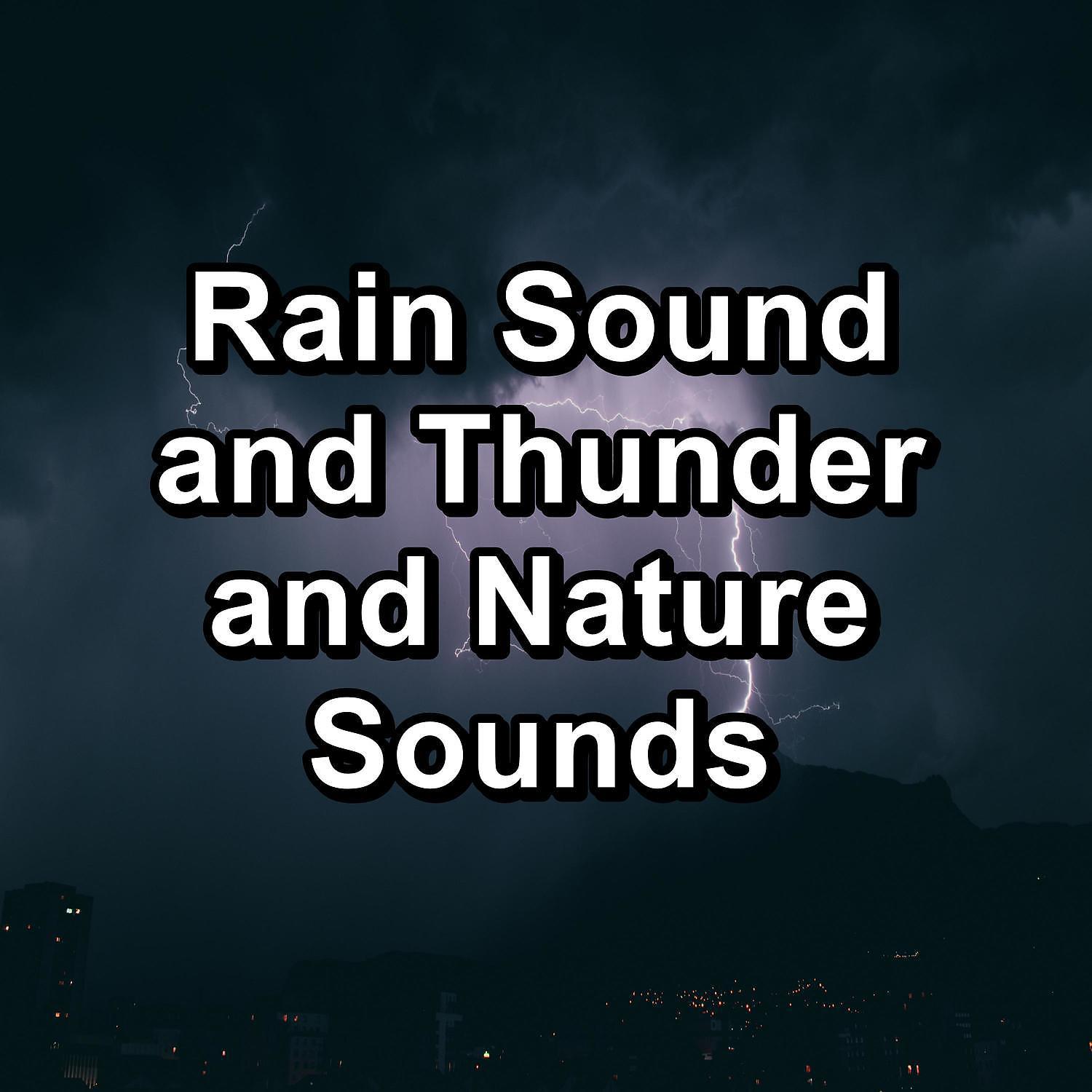 Постер альбома Rain Sound and Thunder and Nature Sounds