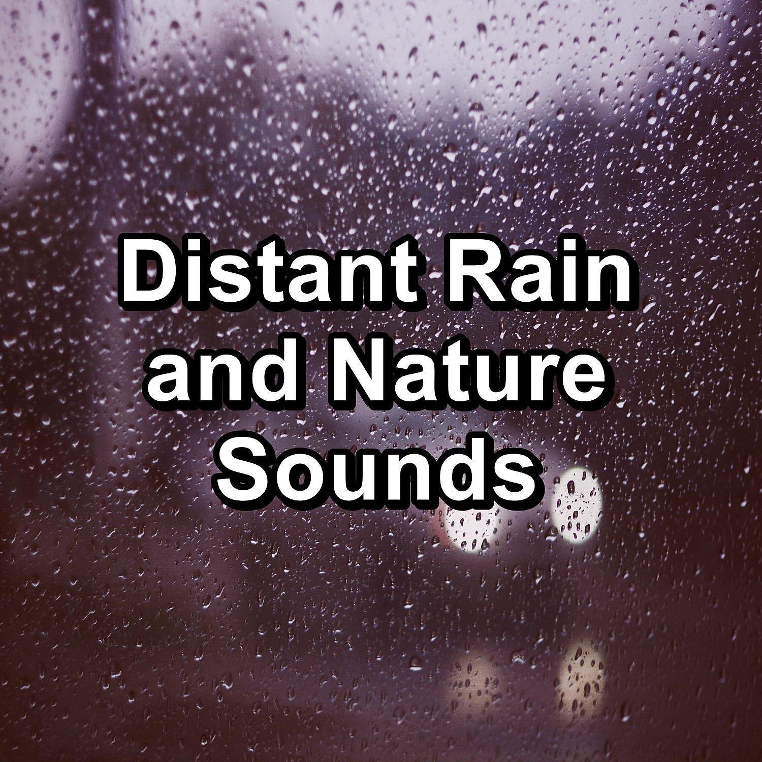 Постер альбома Distant Rain and Nature Sounds