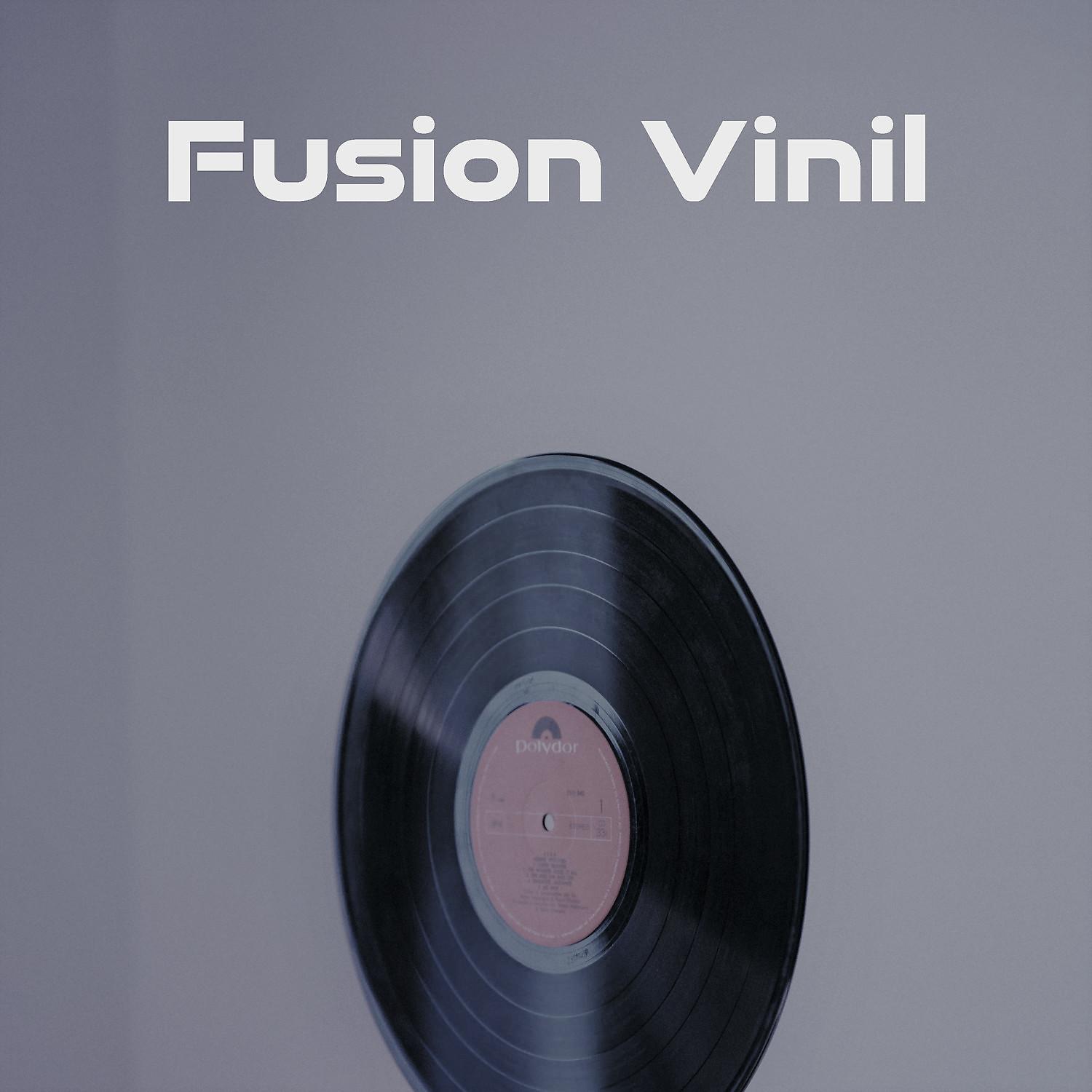 Постер альбома Fusion Vinil