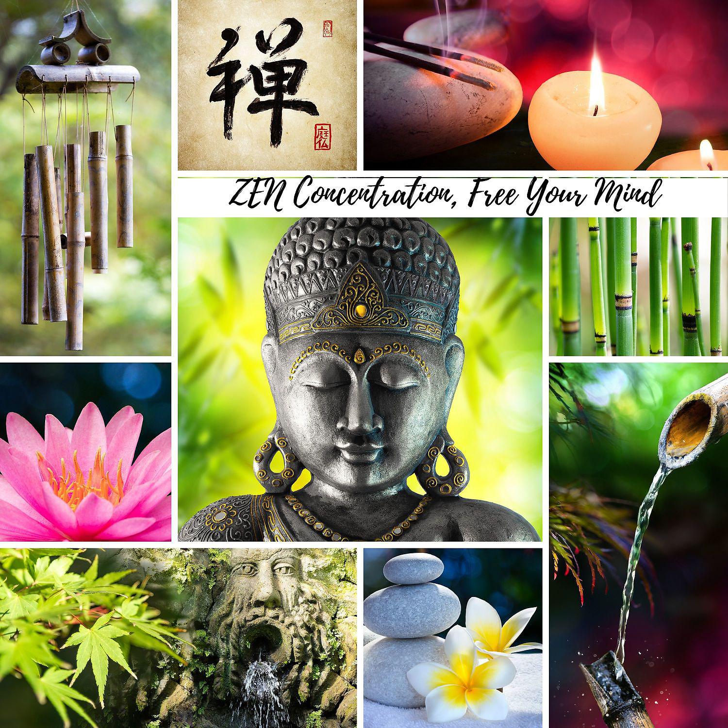 Постер альбома ZEN Concentration, Free Your Mind: Chakra Meditation, Spirituality, Mindfulness Therapy, Spa Treatment