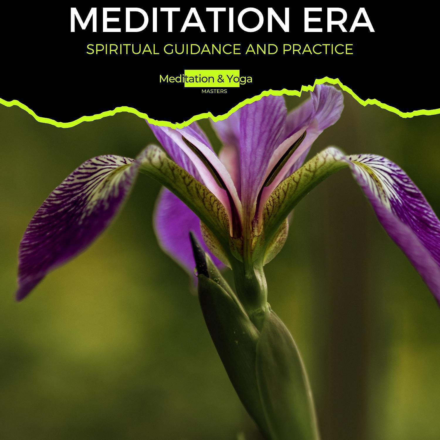 Zen Healing Melodies - Trible Chill Out