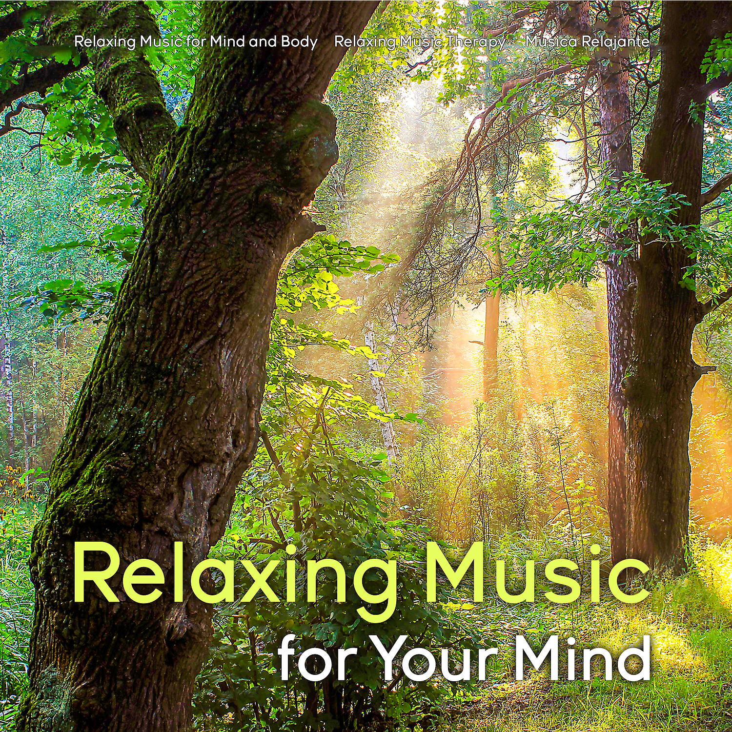 Relaxing Music for Mind and Body - Relaxing Music for Tinnitus