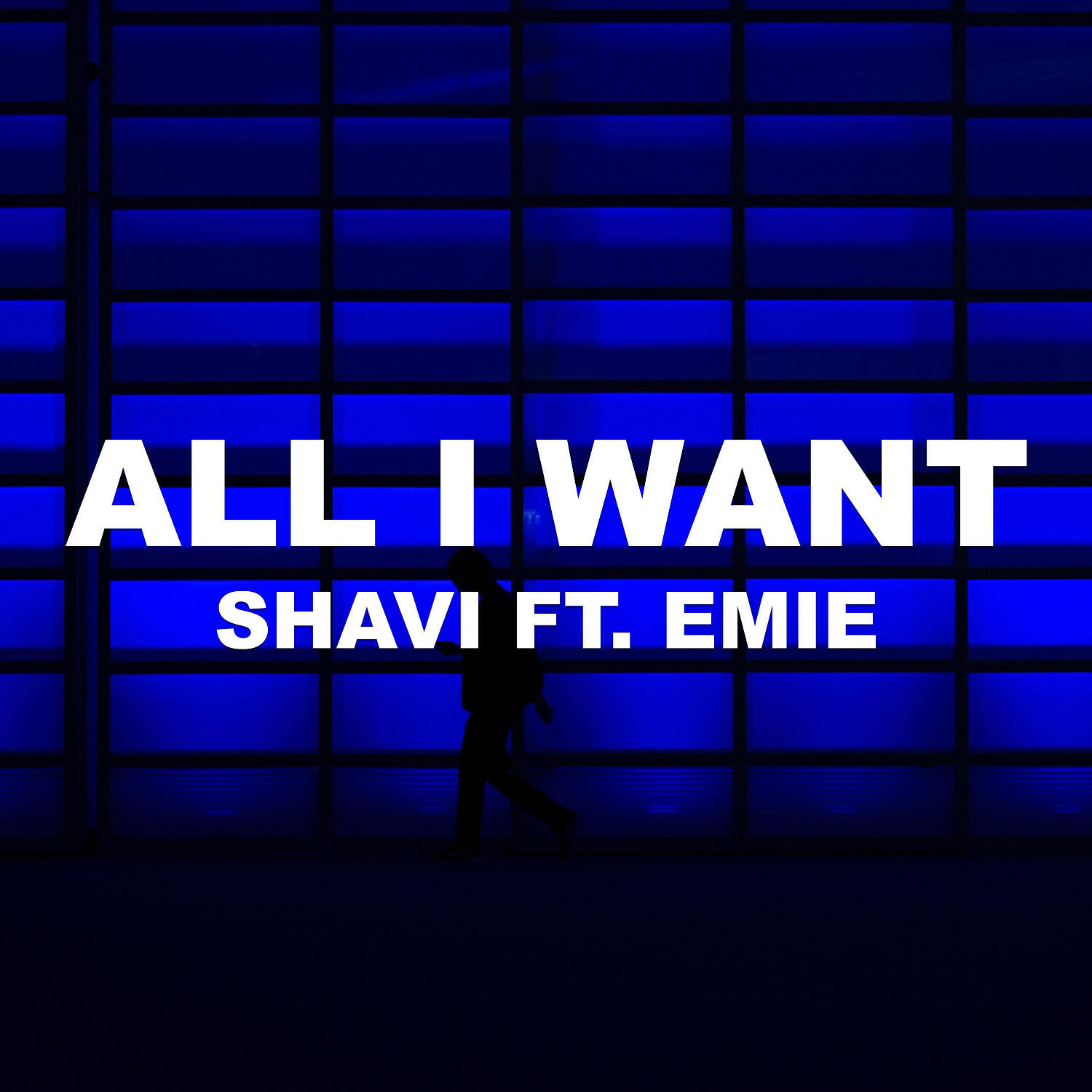 SHAVI - All I Want (feat. Emie)
