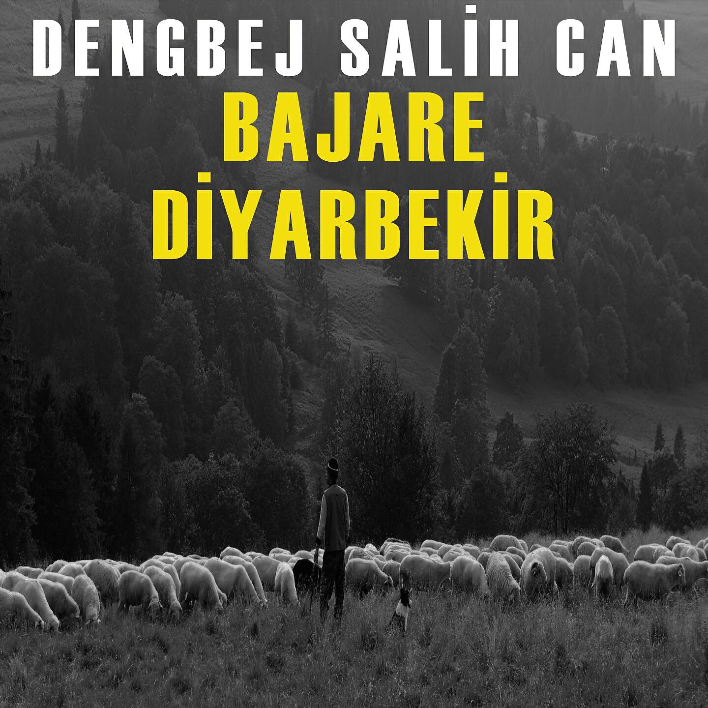 Dengbej Salih Can - Evdal Temo