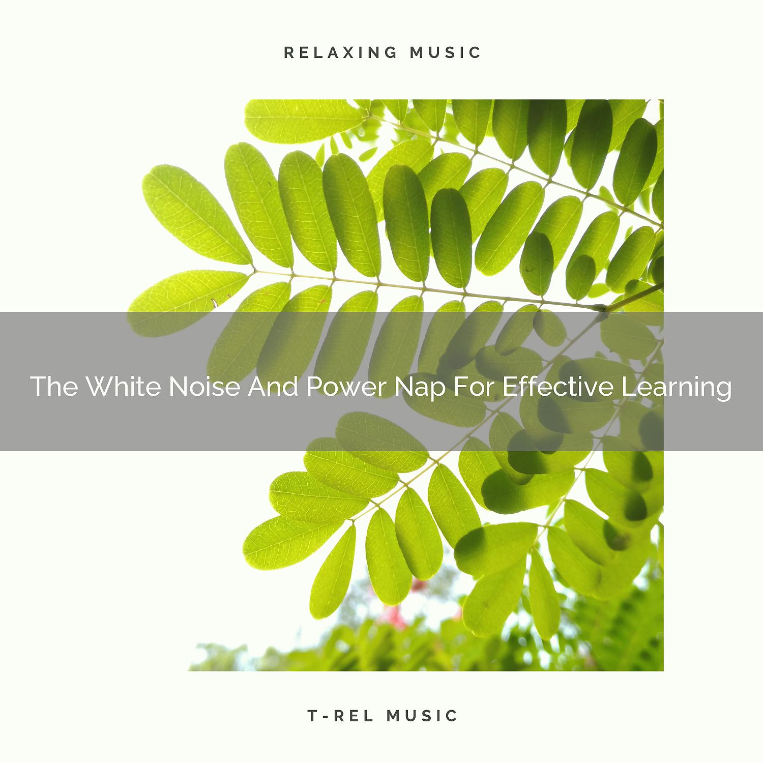 Постер альбома The White Noise And Power Nap For Effective Learning