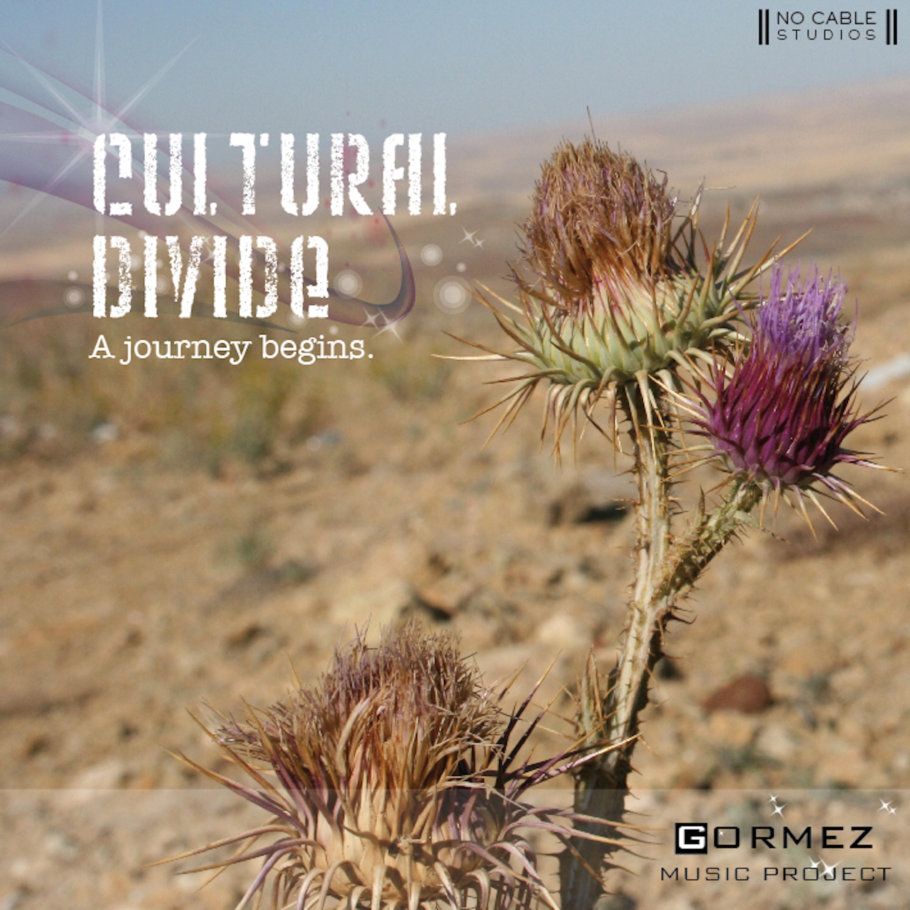 Постер альбома Cultural Divide | 2010