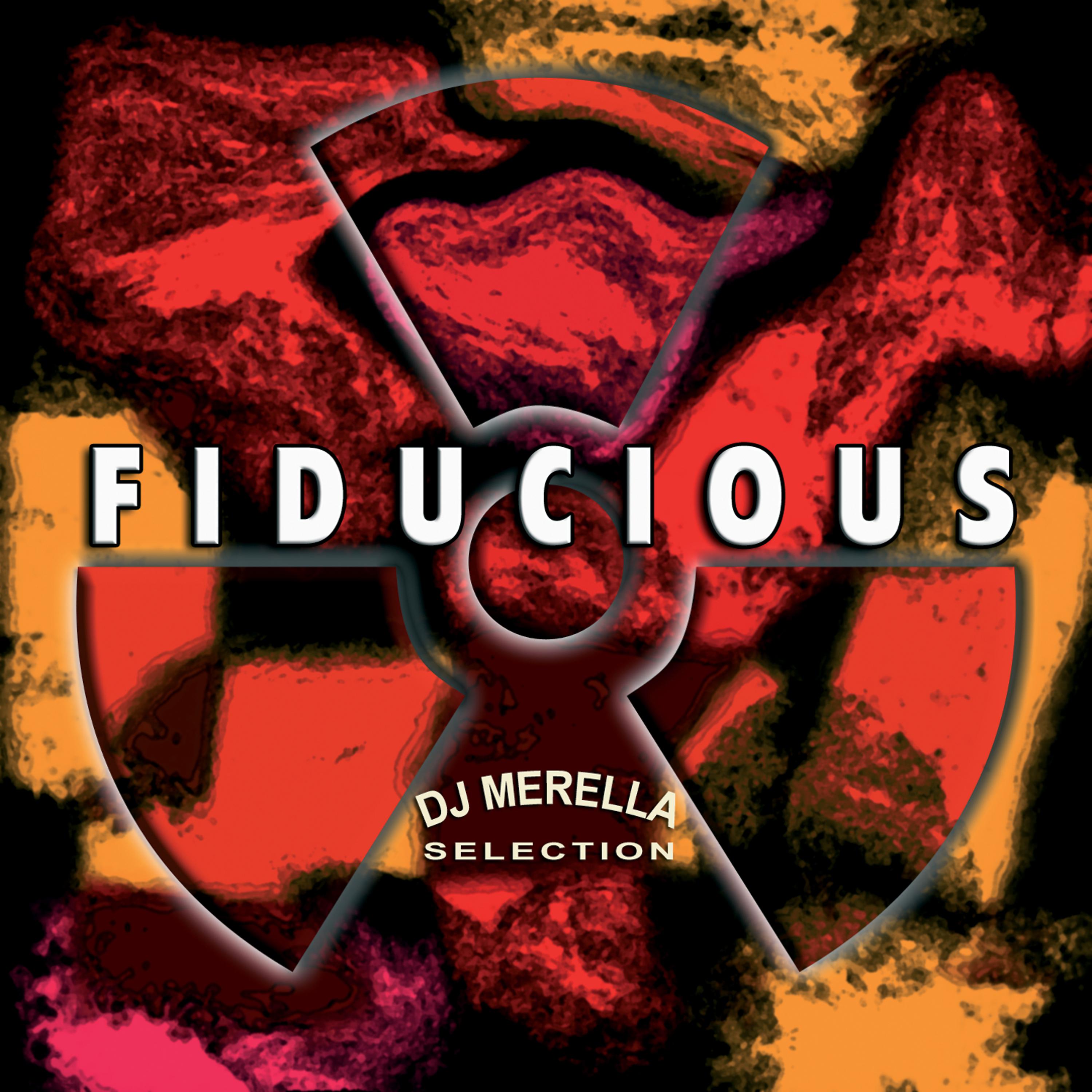 Постер альбома Fiducious (DJ Merella Selection)