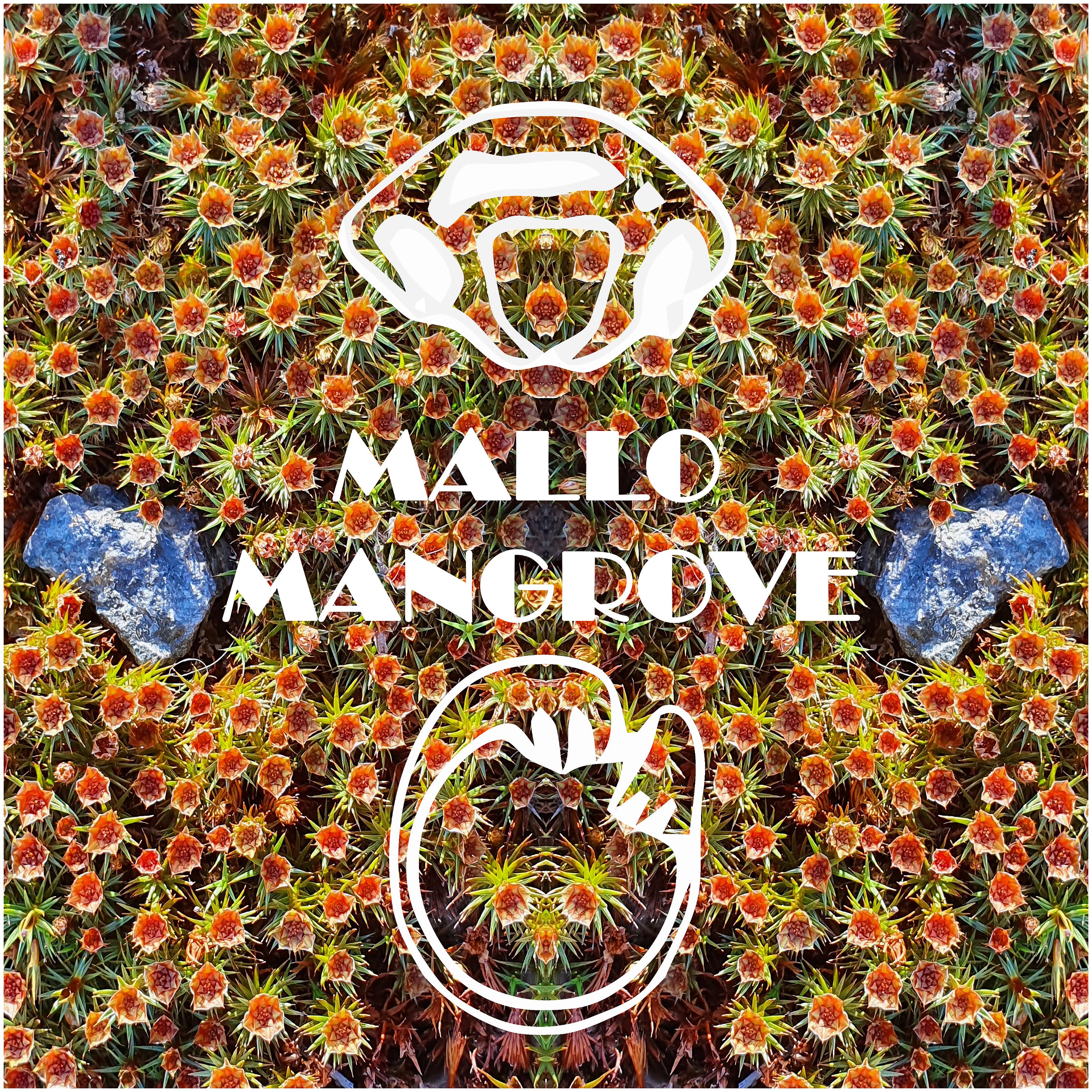 Постер альбома Mallo Mangrove