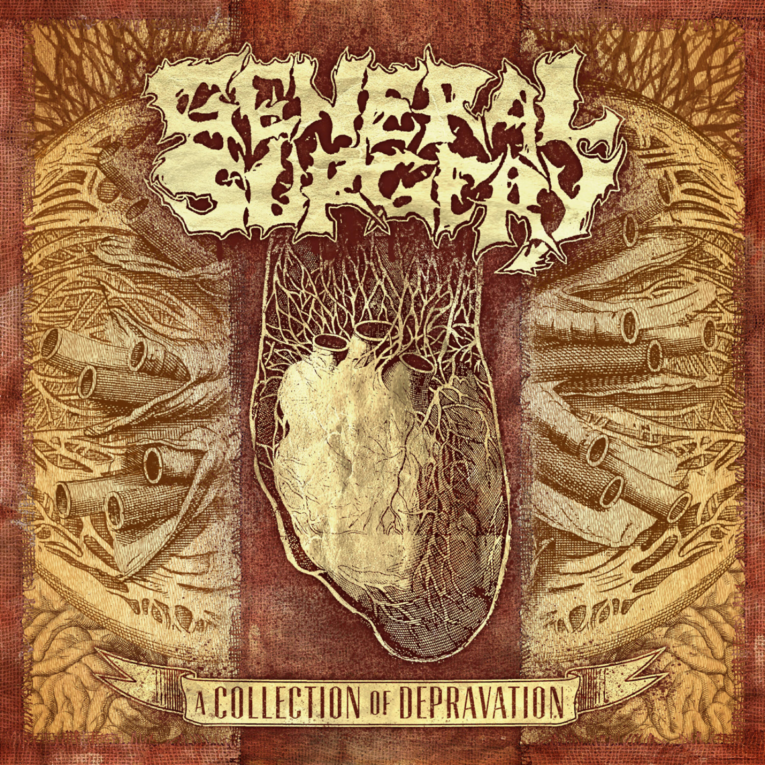 General Surgery - Unruly Dissection Marathon