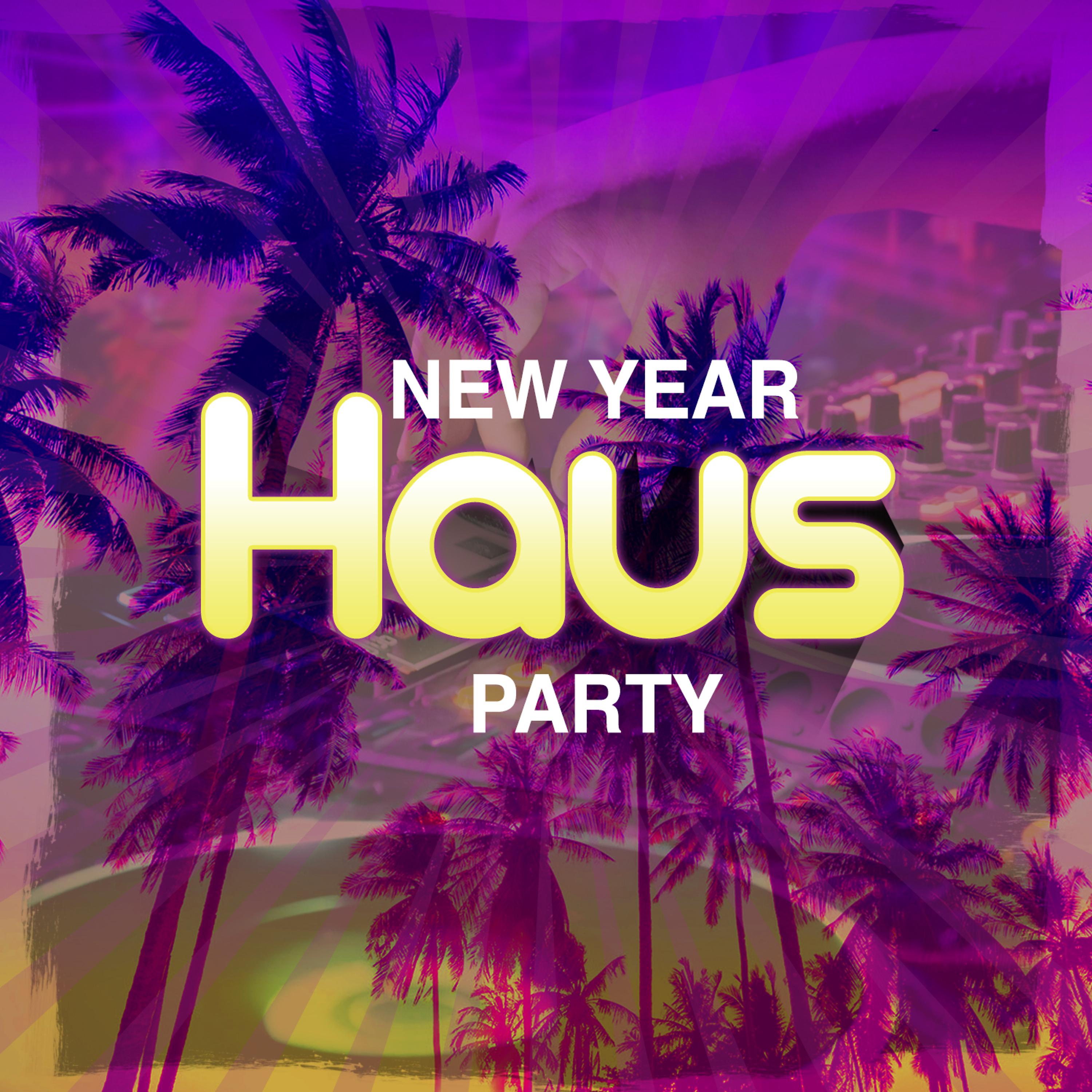 Постер альбома New Year Haus Party