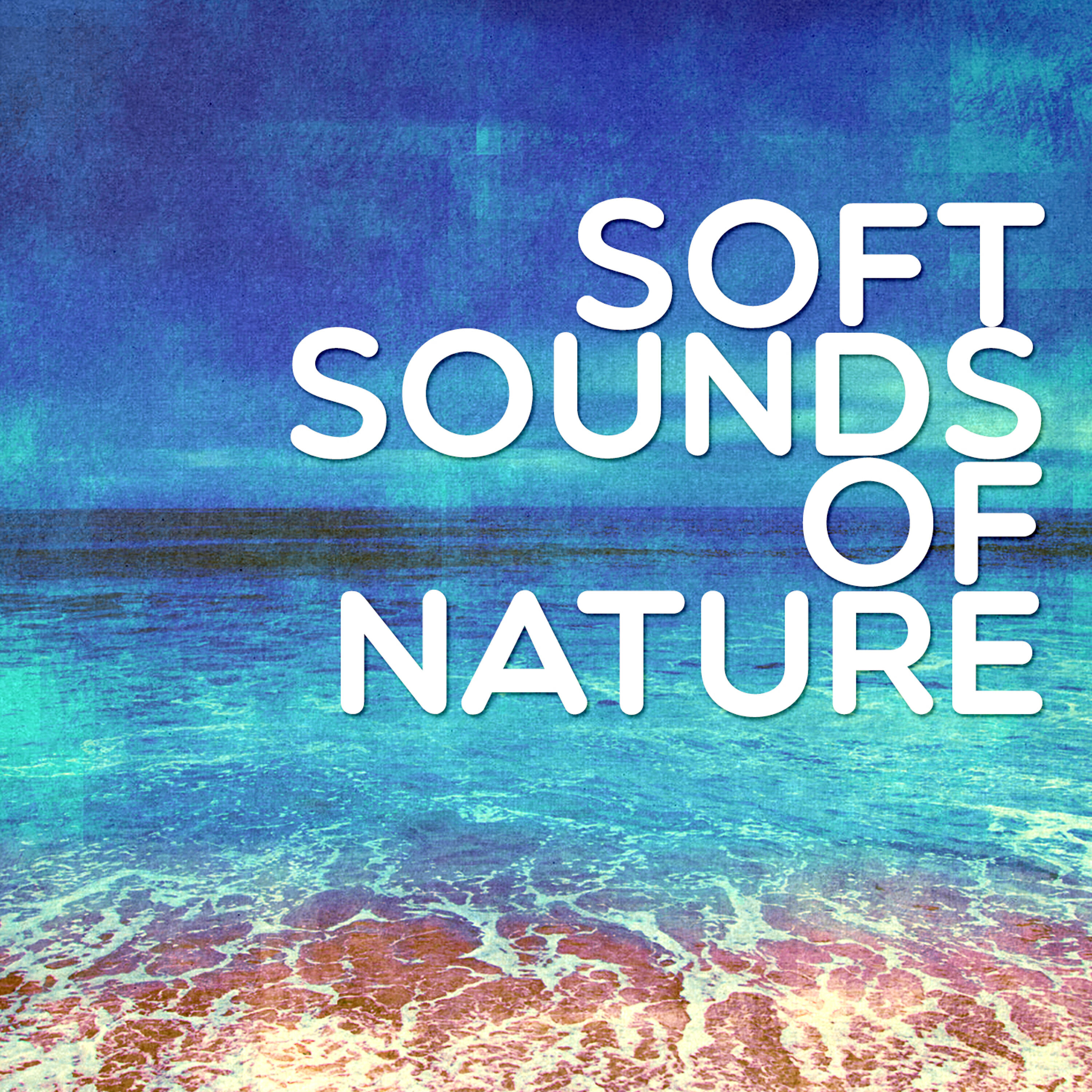 All Seasons - Rain Forest Thunder Storm