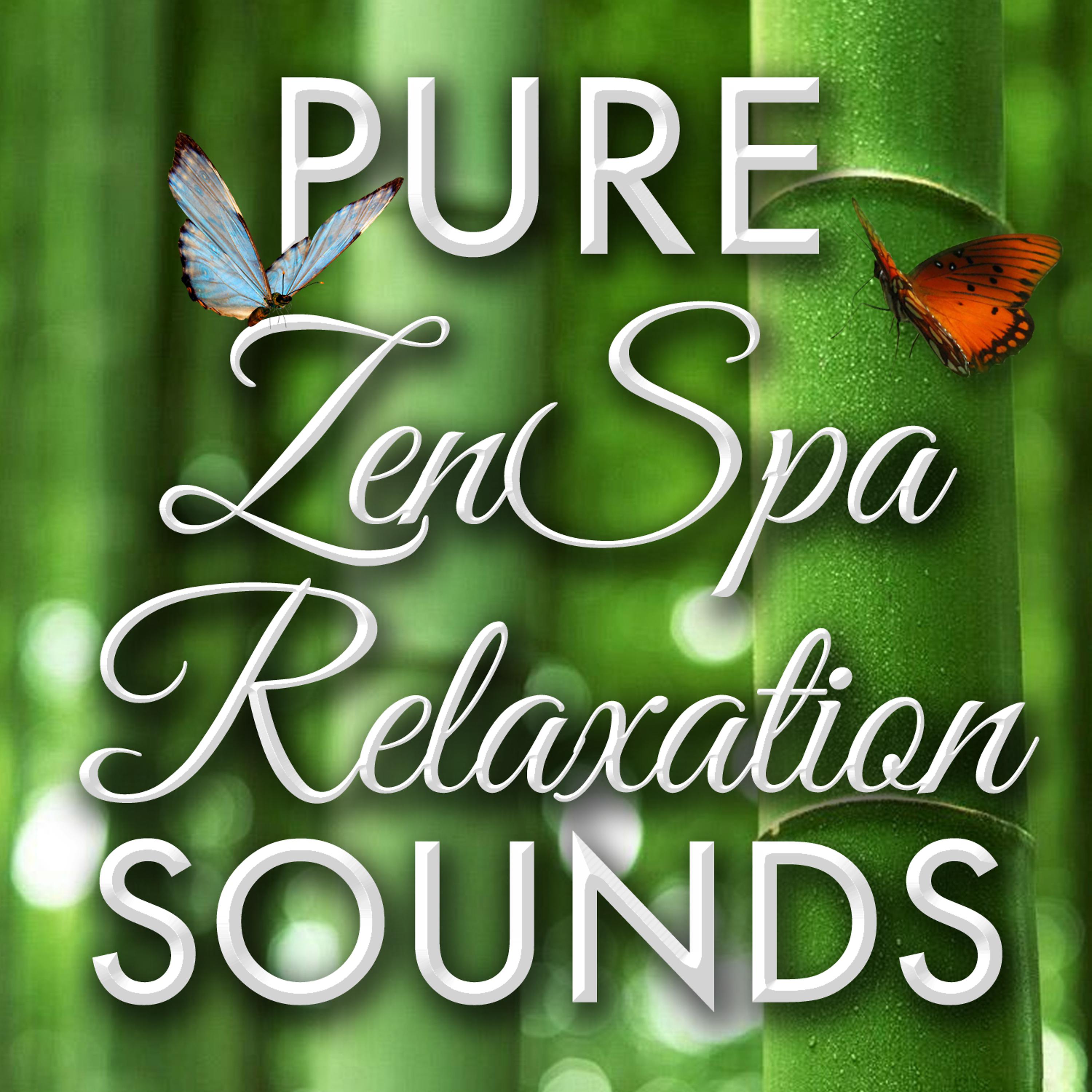 Постер альбома Pure Zen Spa Relaxation Sounds - Healthy Living Self-Improvement Spirituality Overcoming Empowerment & Chill