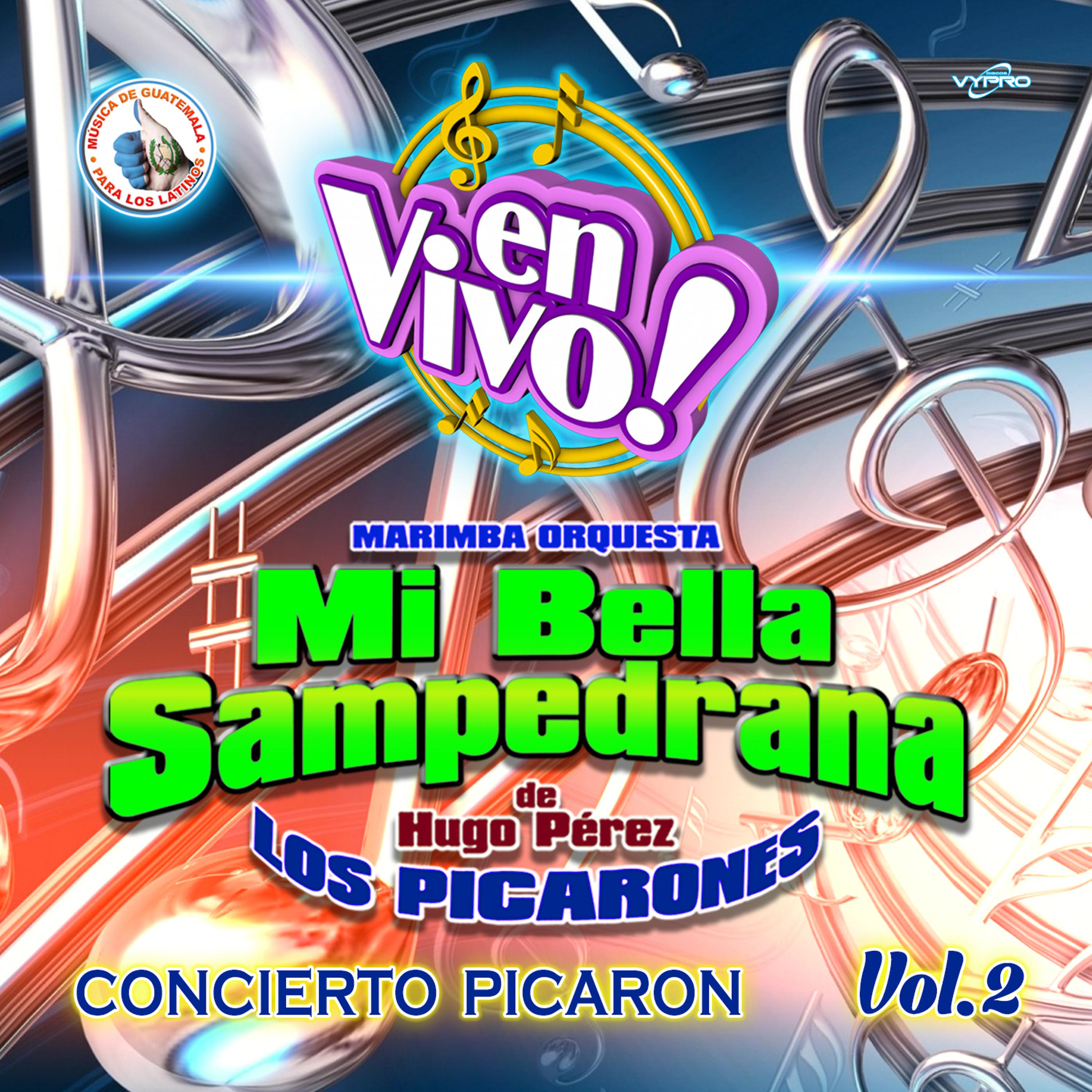 Постер альбома Concierto Picarón Vol. 2. Música de Guatemala para los Latinos (En Vivo)