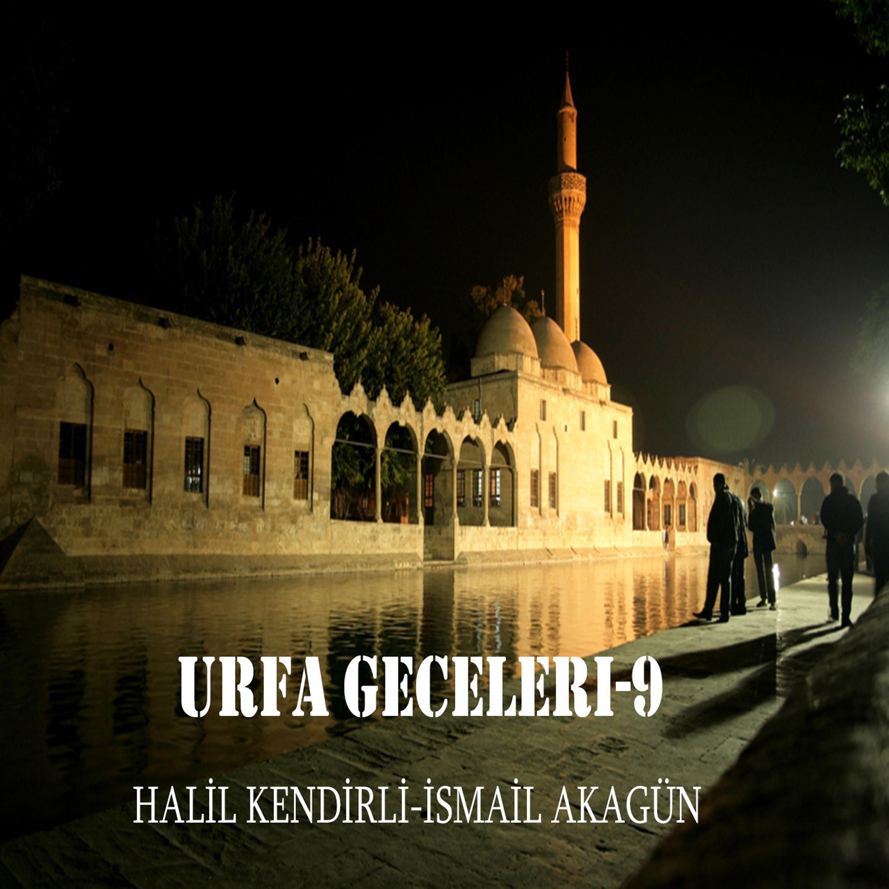 Постер альбома Urfa Geceleri-9