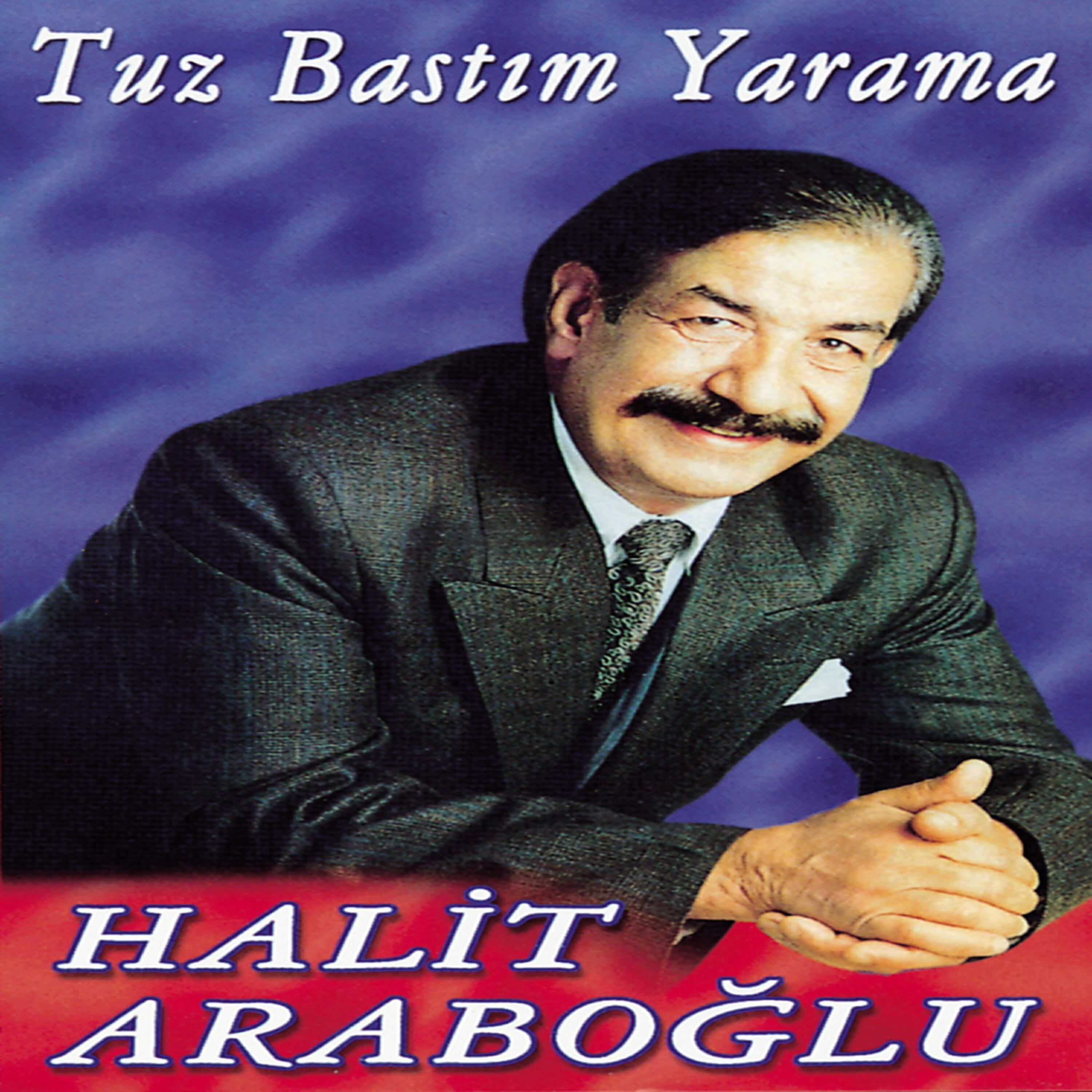 Halit Araboğlu - Er Meydanı