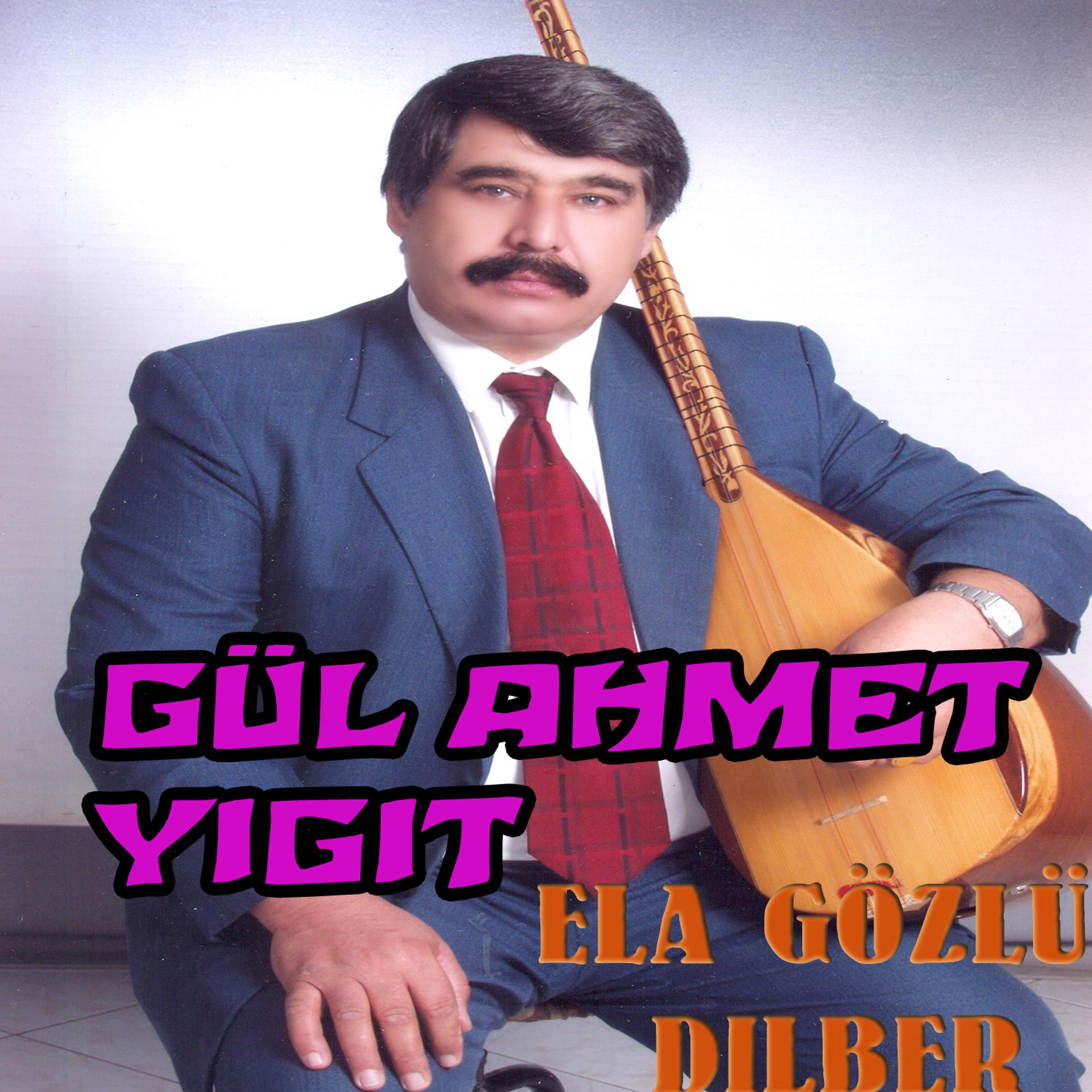 Постер альбома Ela Gözlü Dilber