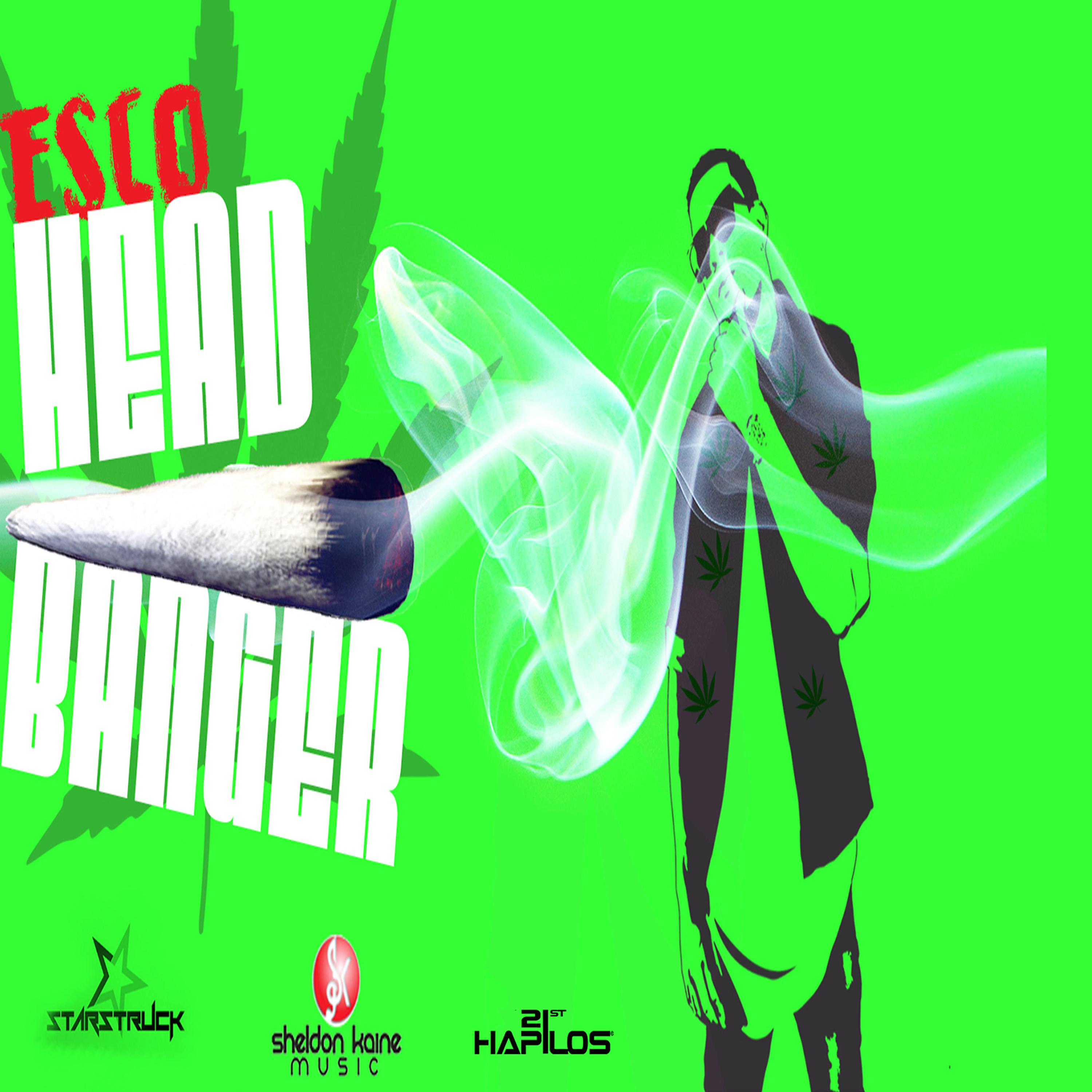 Постер альбома Head Banger (Smokers Anthem)