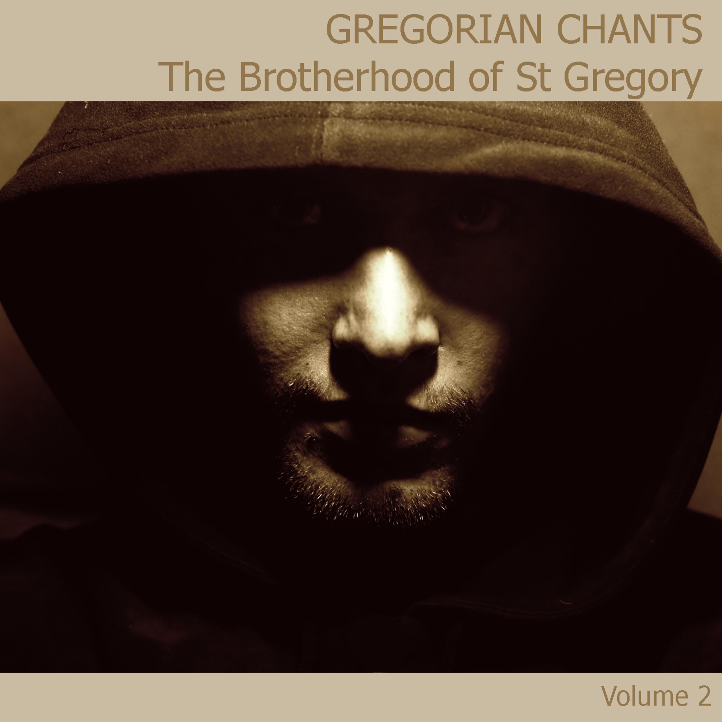 Постер альбома Gregorian Chants CD2