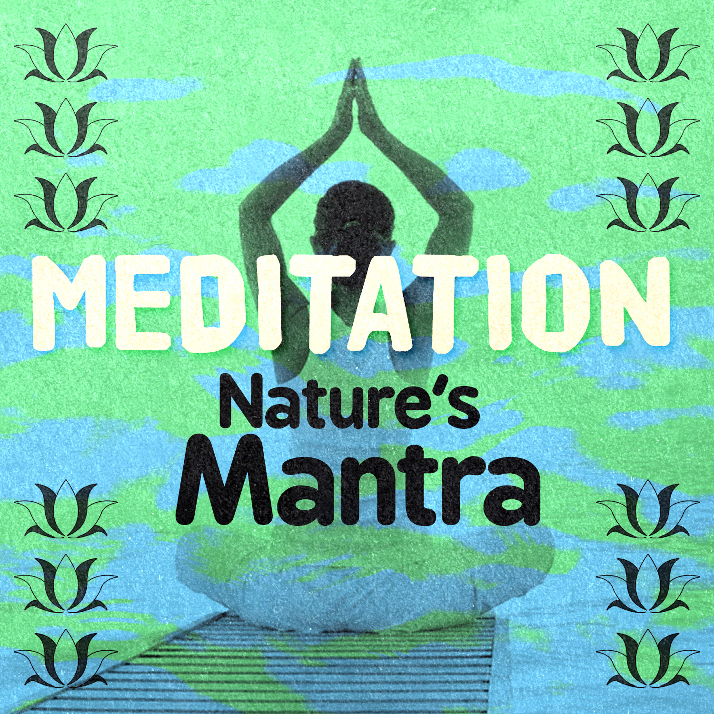 Mediation Sounds of Nature - Life at the Waterside