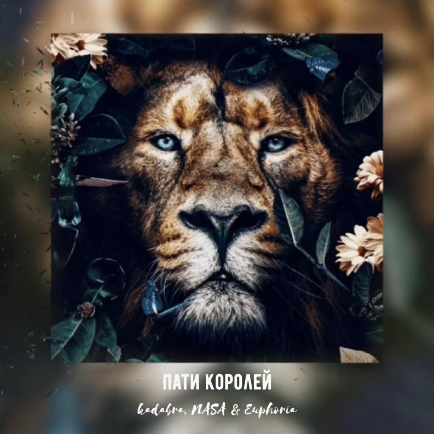 kadabra - Пати королей