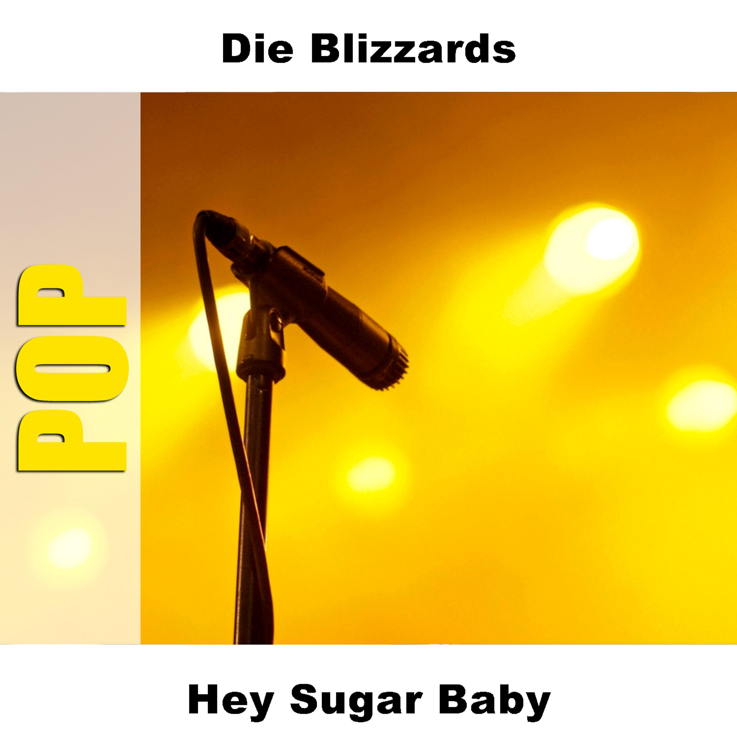 Постер альбома Hey Sugar Baby