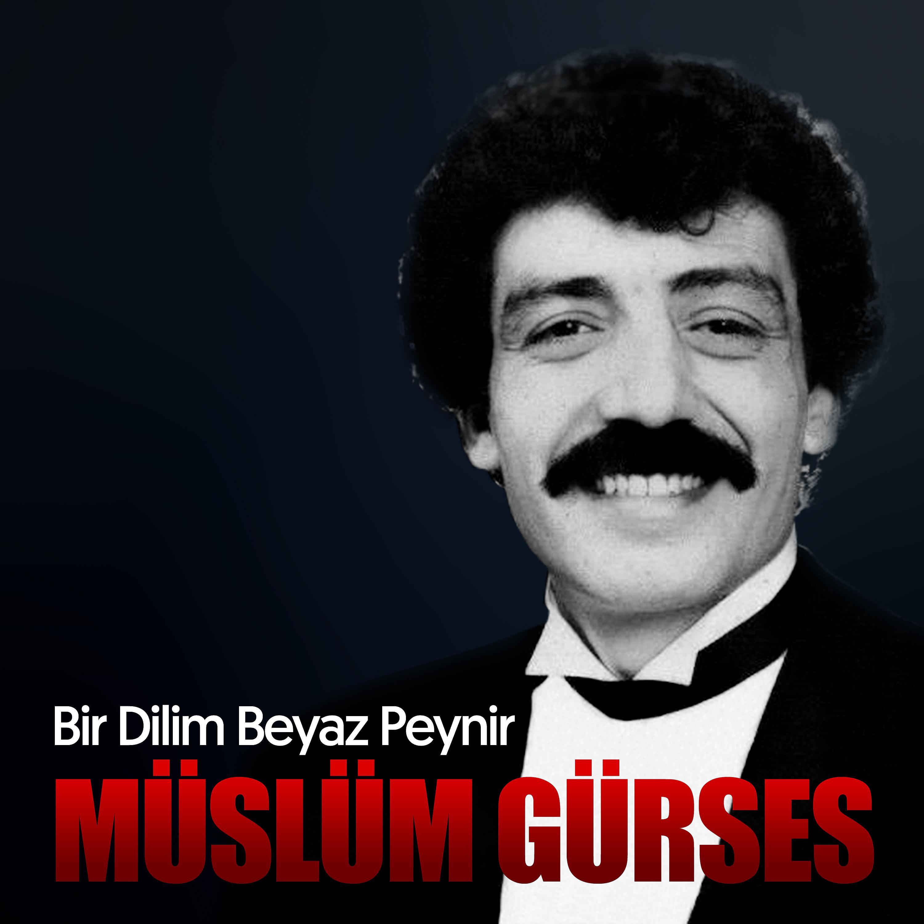 Постер альбома Bir Dilim Beyaz Peynir