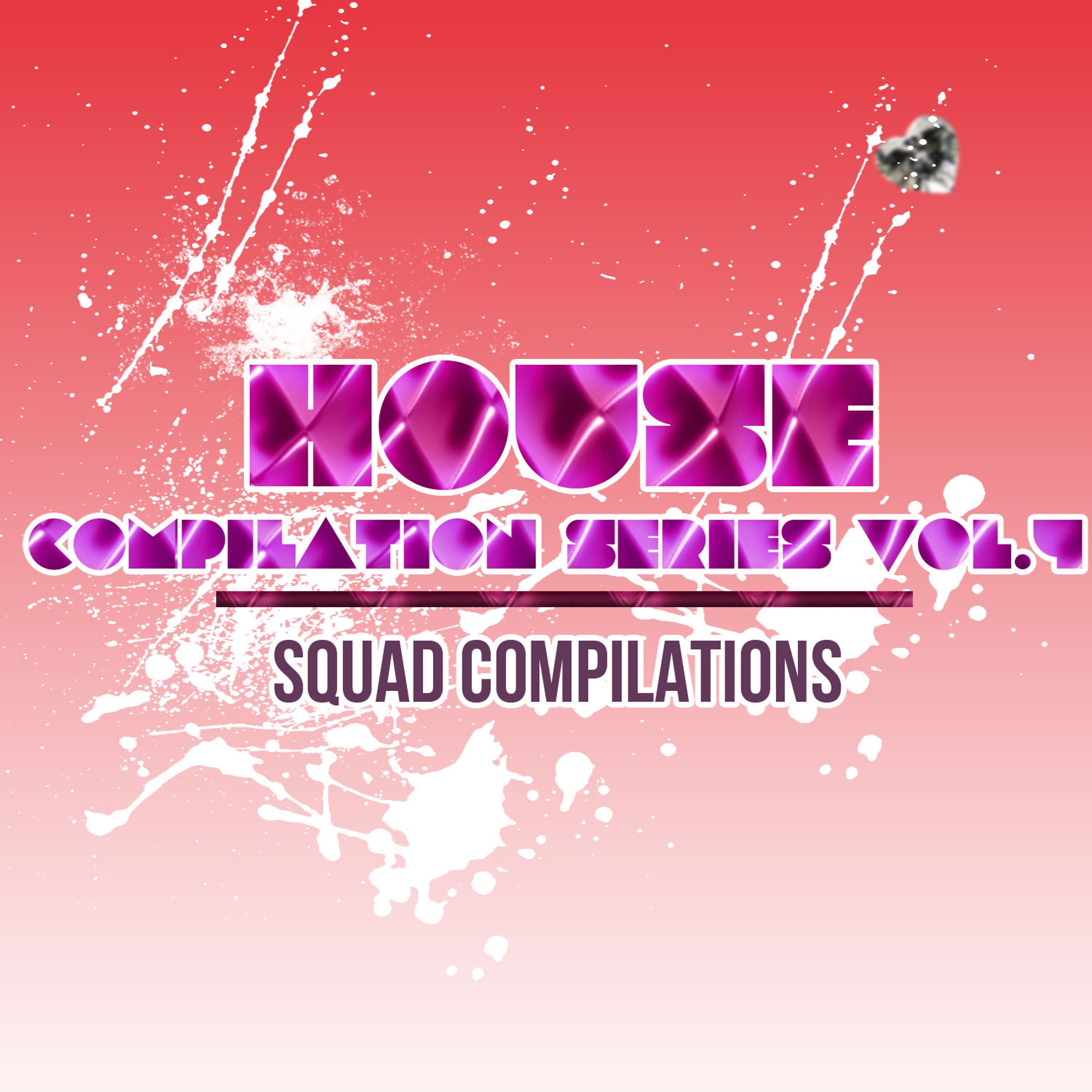 Постер альбома House Compilation Series Vol. 4