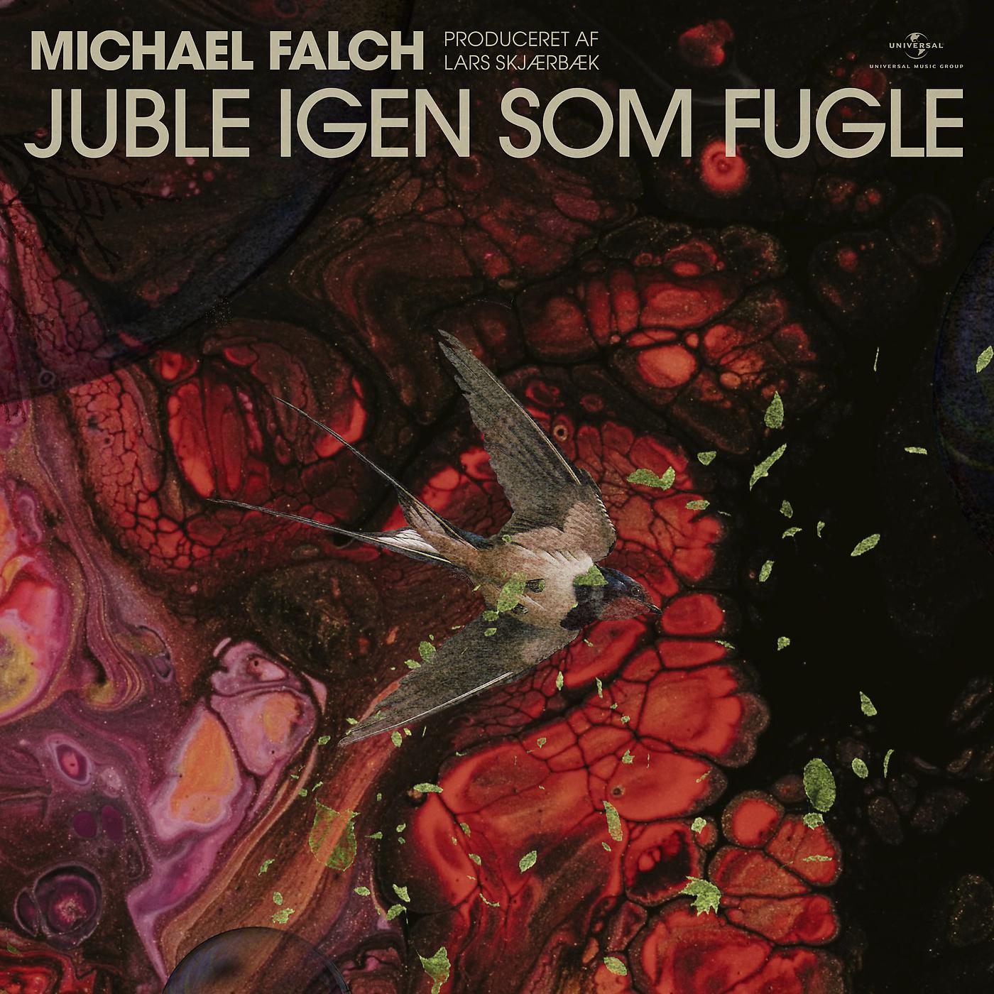 Постер альбома Juble Igen Som Fugle