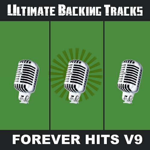 SoundMachine - Yellow Bird (In the Style of Roger Whittaker) [Backing Track Version]