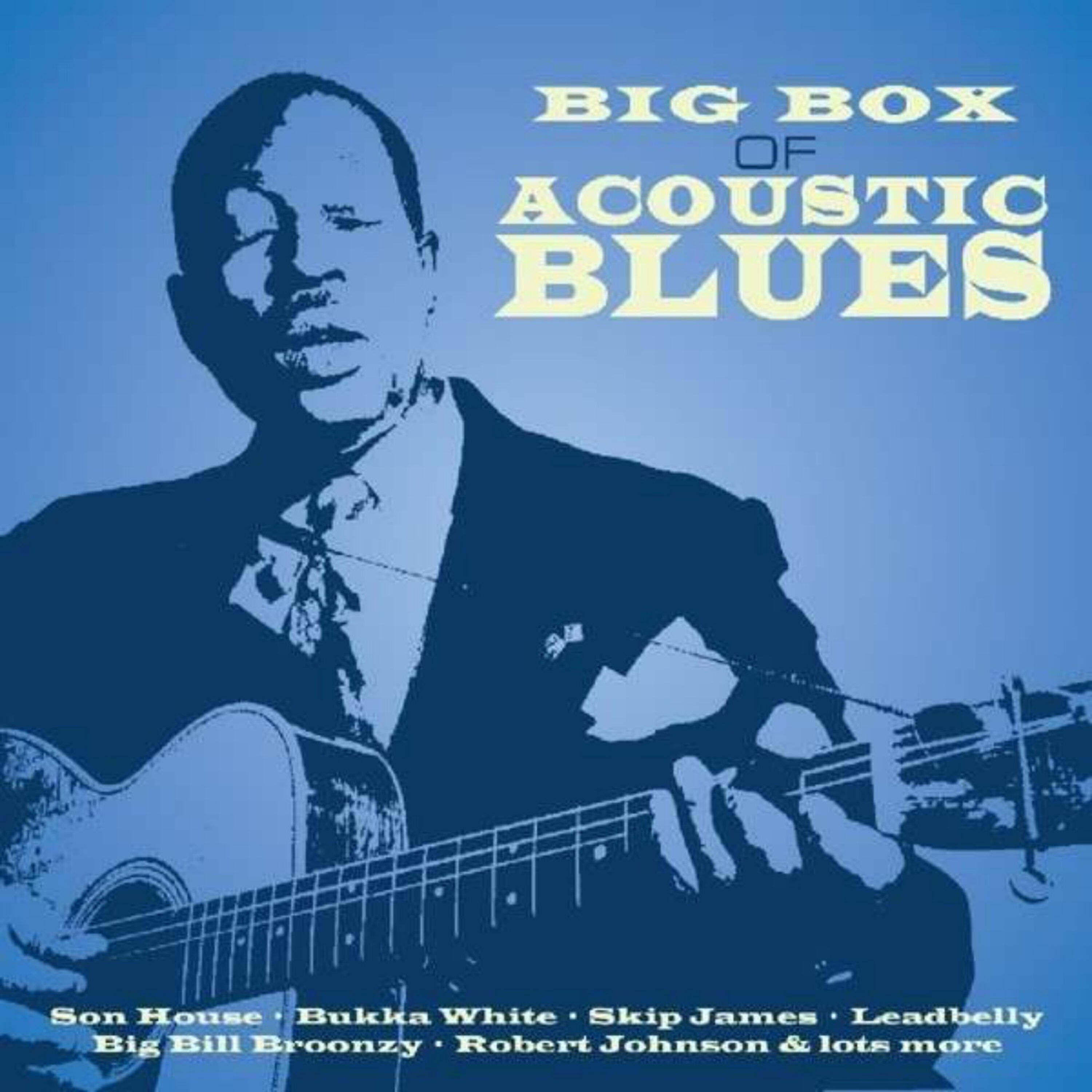 Skip James - If You Haven't Any Hay Get on Down the Road