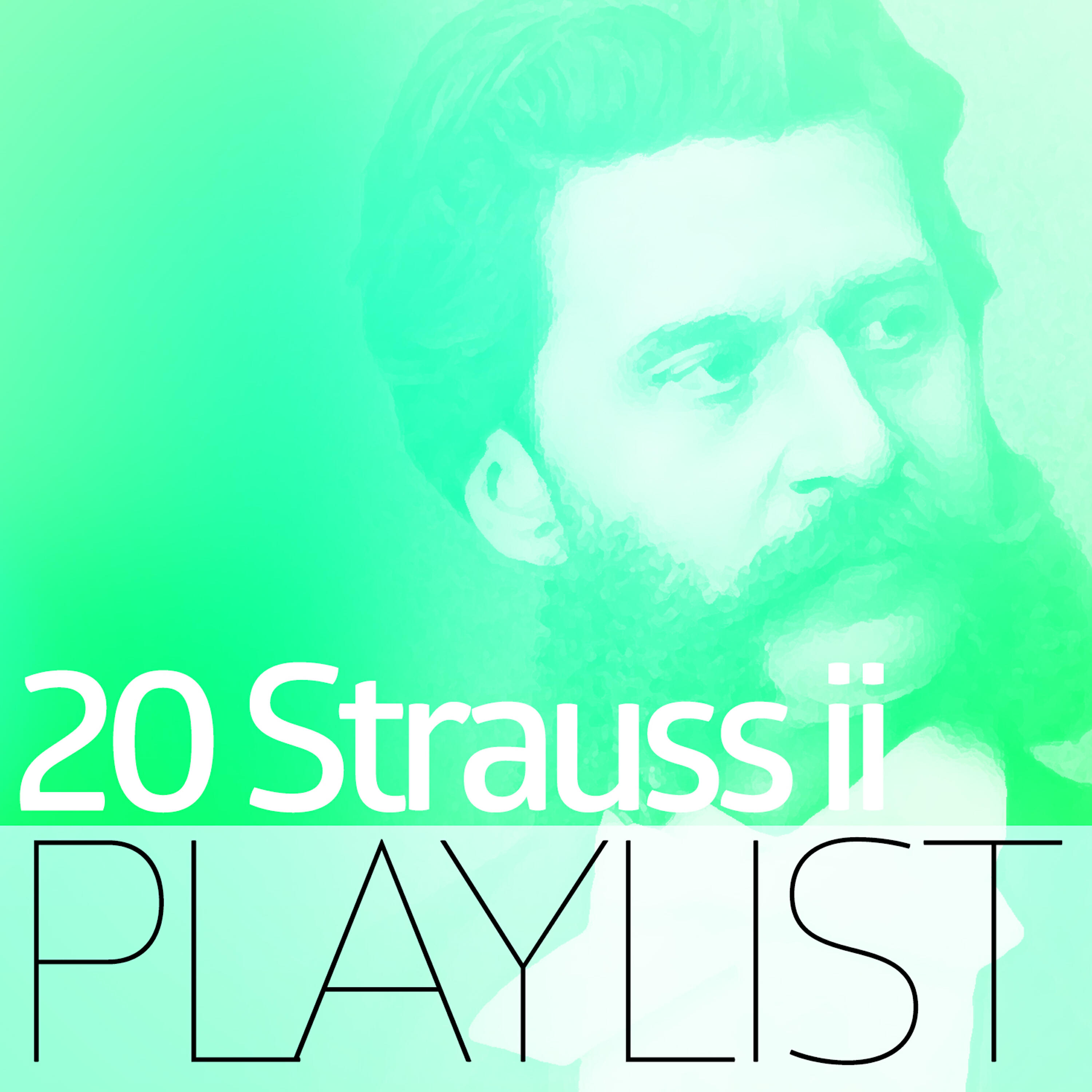 Pro Musica Symphony Orchestra - Tales from the Vienna Woods, Op. 325