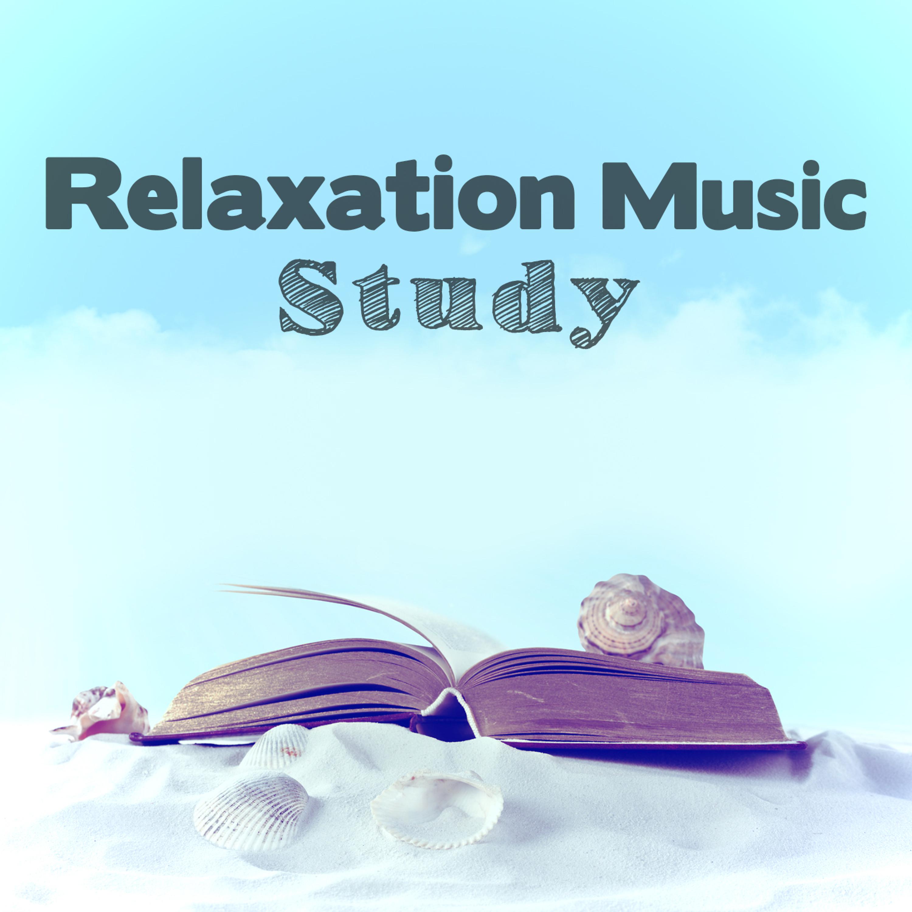 Постер альбома Relaxation Music: Study
