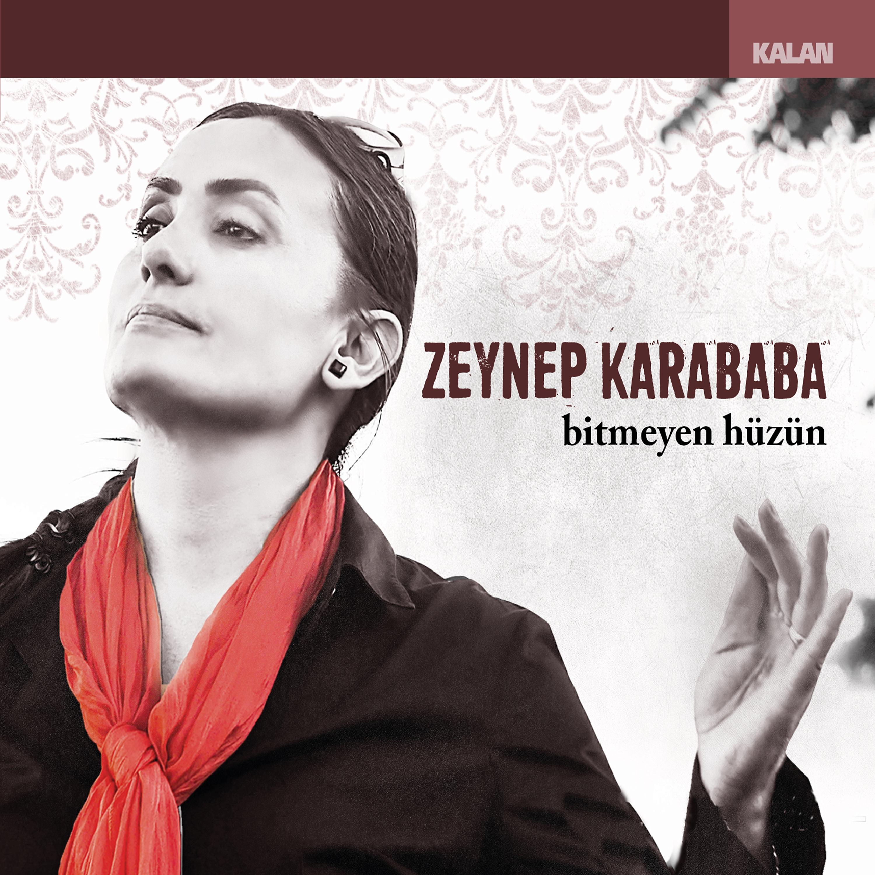 Постер альбома Bitmeyen Hüzün