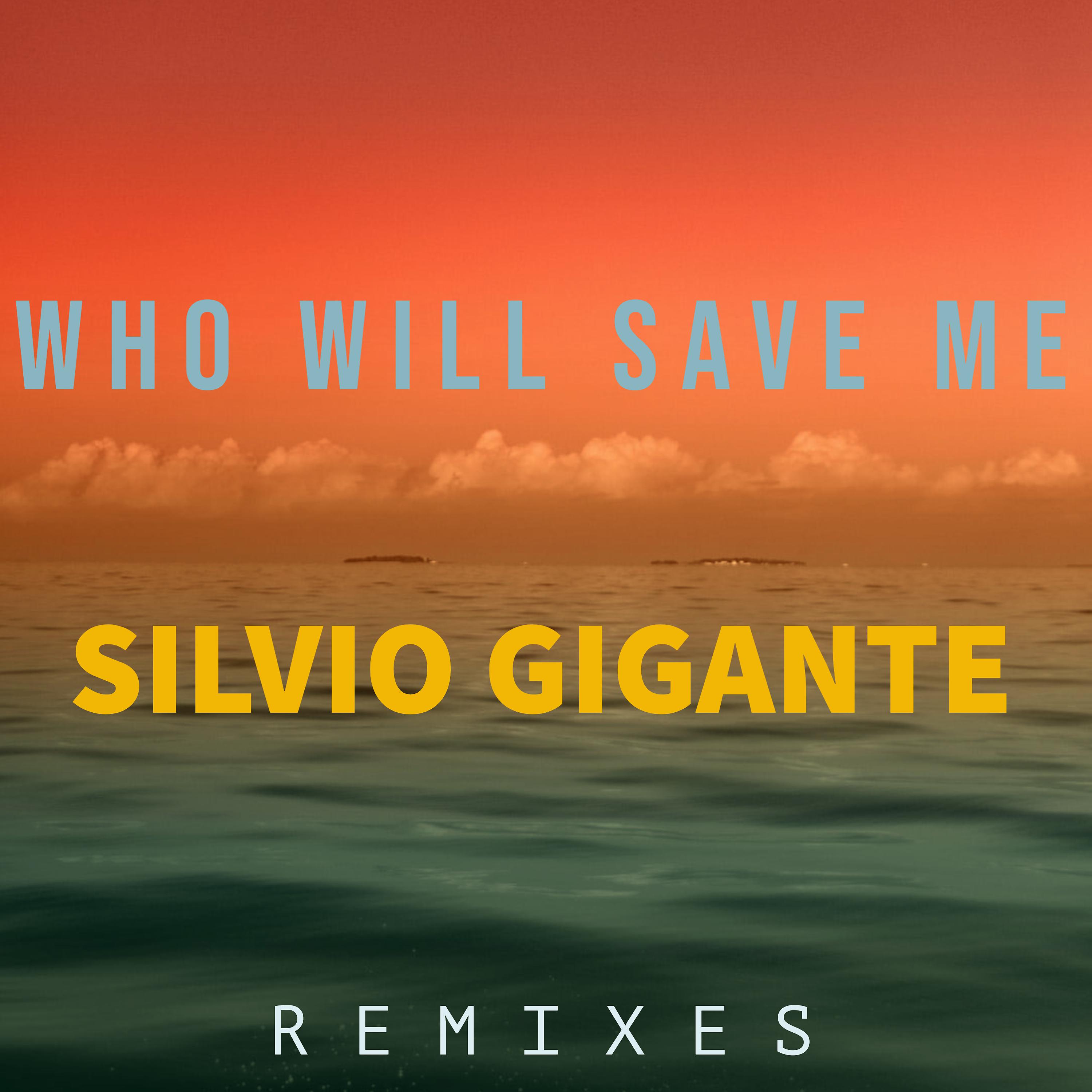 Постер альбома Who Will Save Me (Remixes)