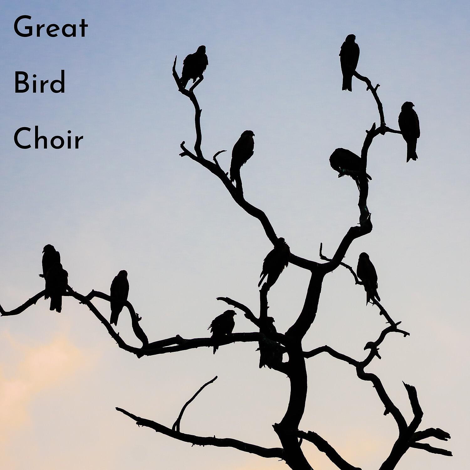 Organic Nature Sounds - Serene Bird Chattering