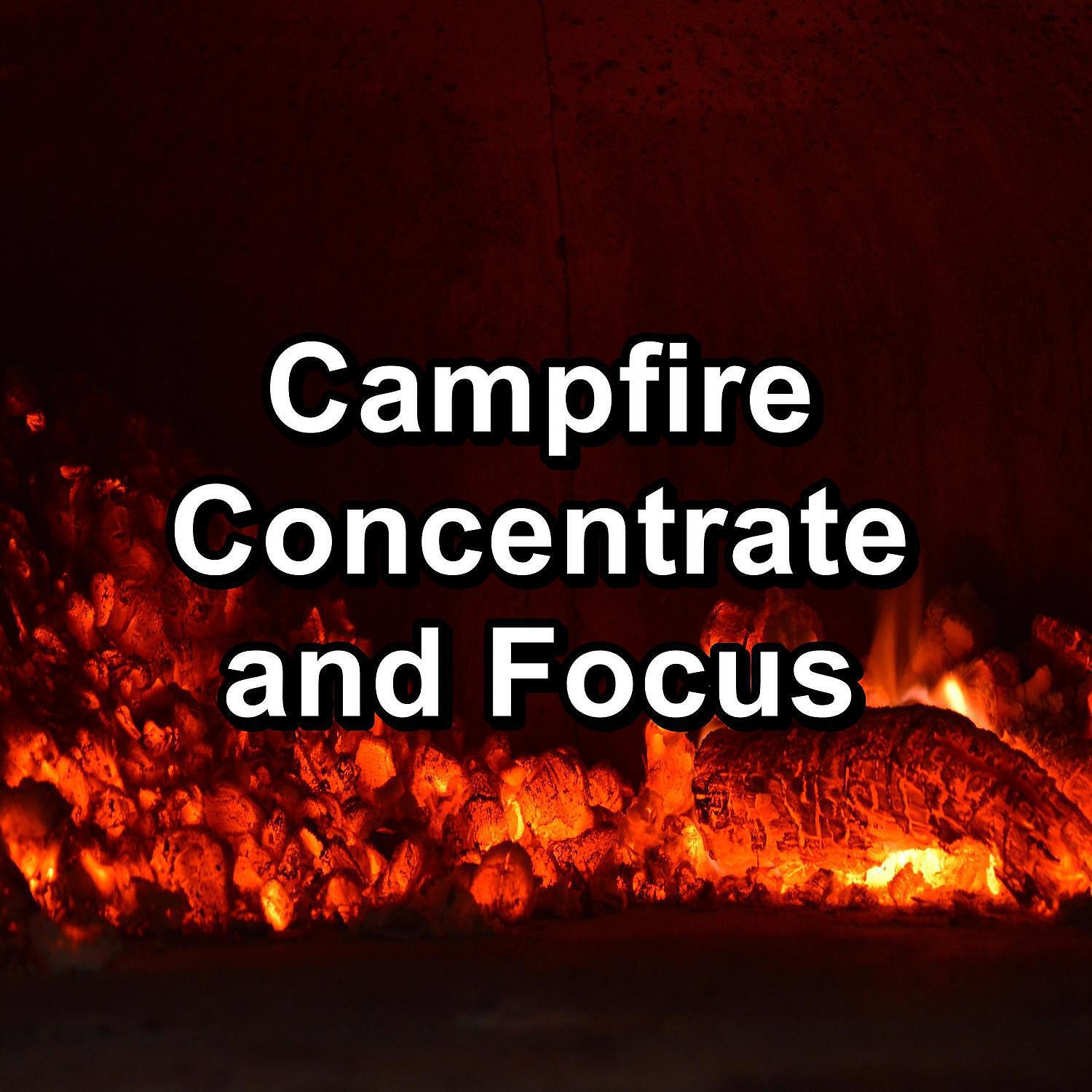 Crackling Fire Sounds - Evening Fireplace Peaceful Ambience Christmas Campfire