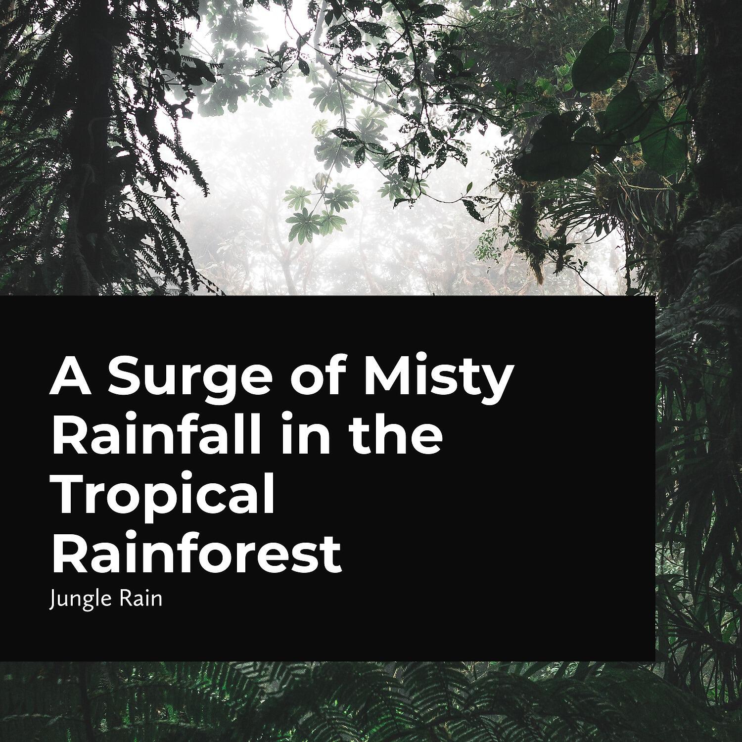 Jungle Rain - Spattering Cold River
