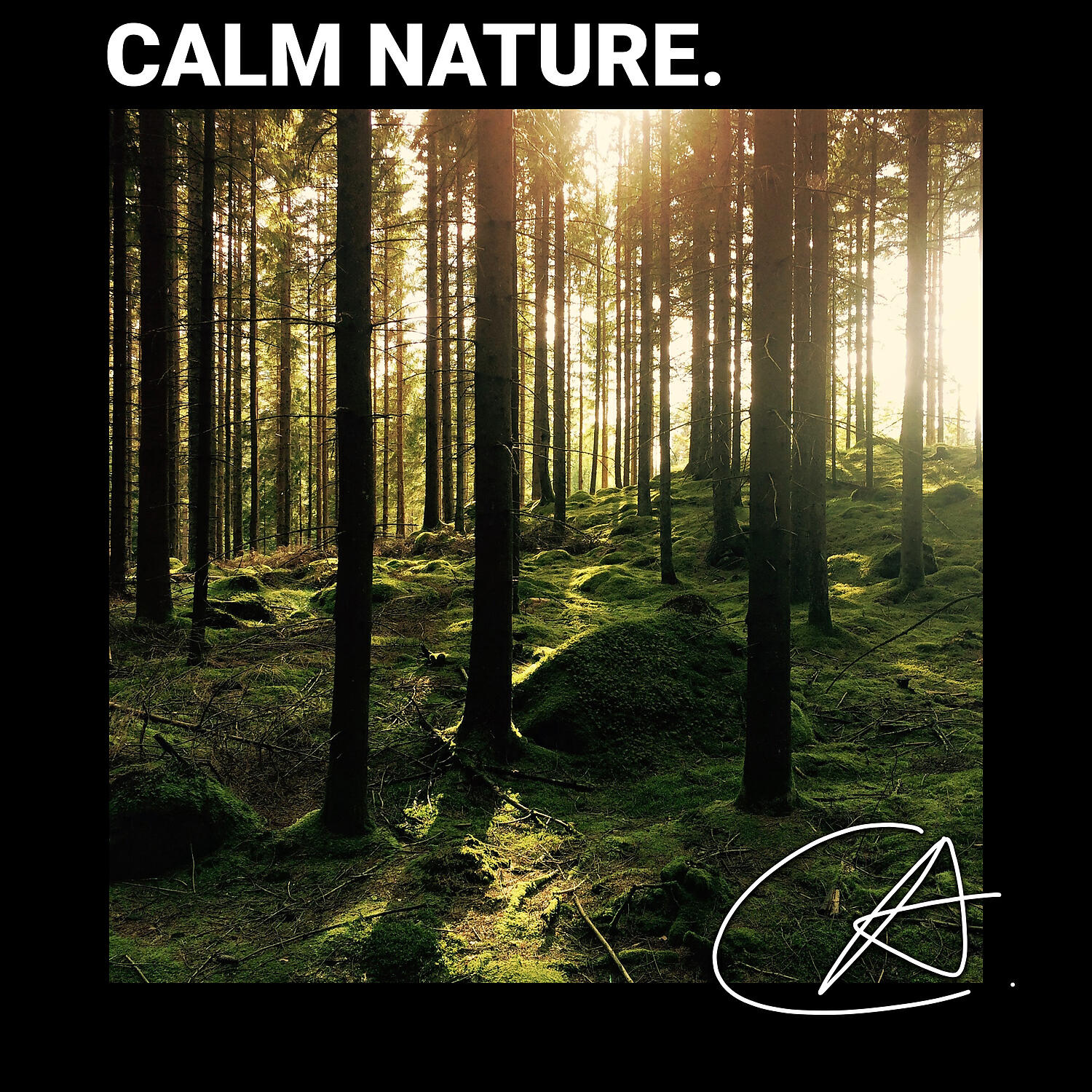 CHILL OUT - Nature Crickets sound helps you to Chill and Study