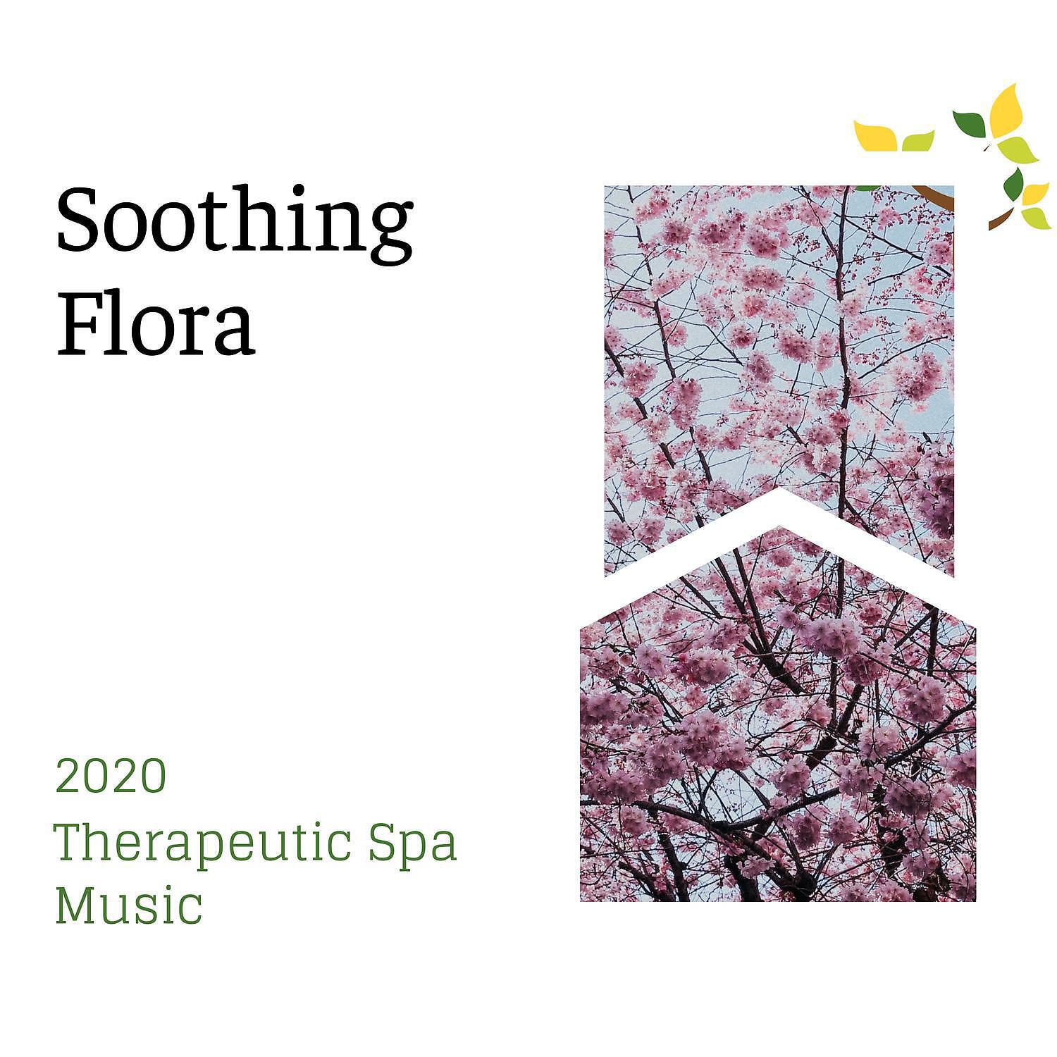 Spa Music Relaxation - Healing Acupuncture