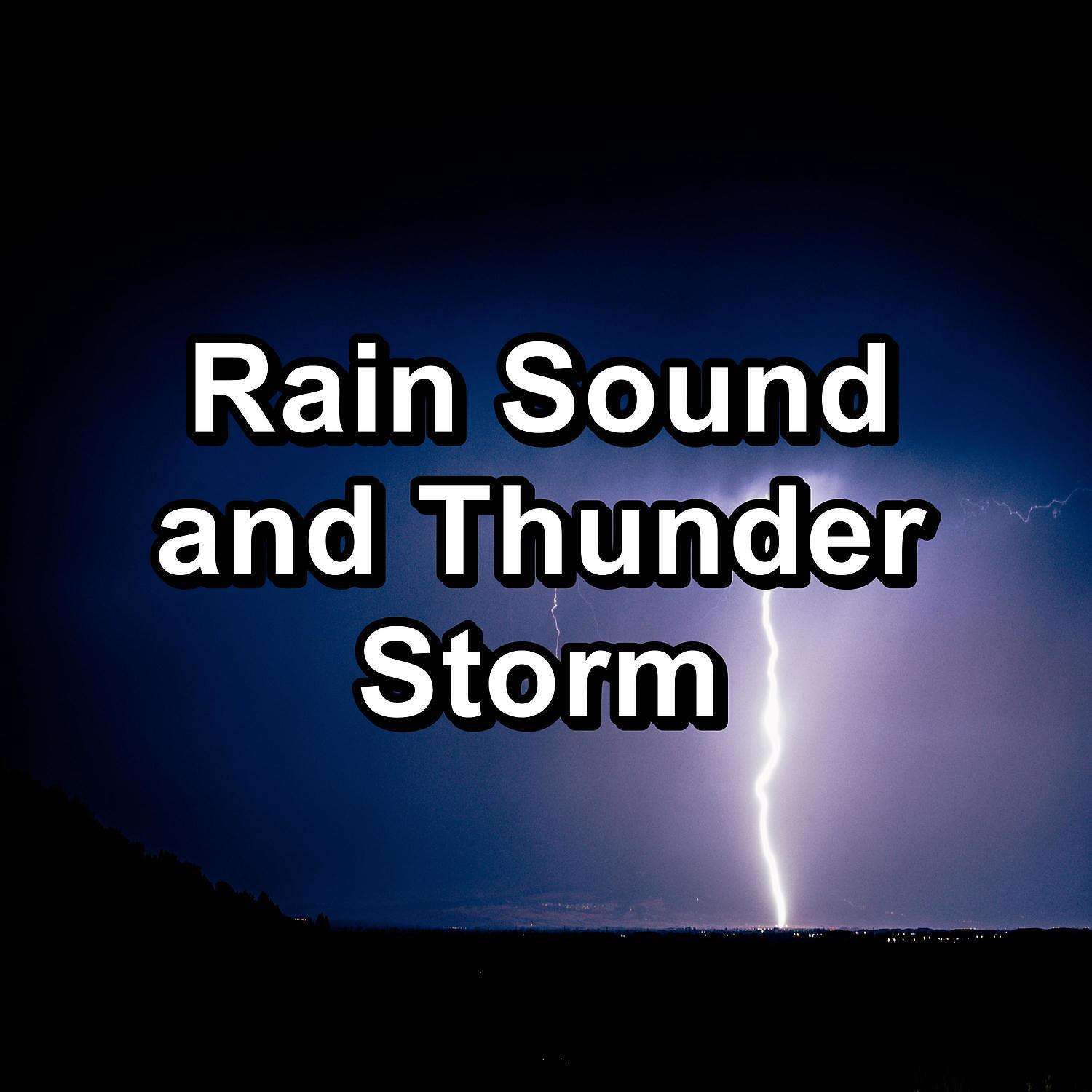 Baby Relax Channel - Medium Rain and Thunder on a Tin Roof and Thunder To Relax and Loop for 8 Hours