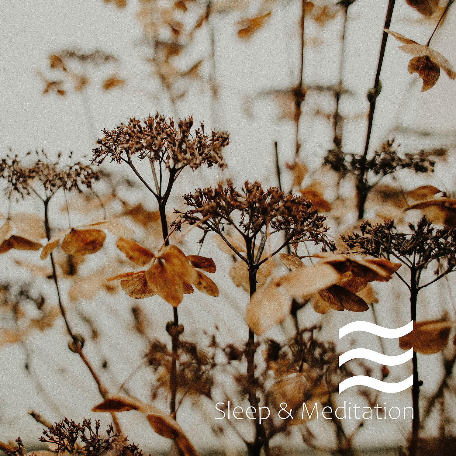 Drowsy Brown Noise - Hypnagogic brown noise melody