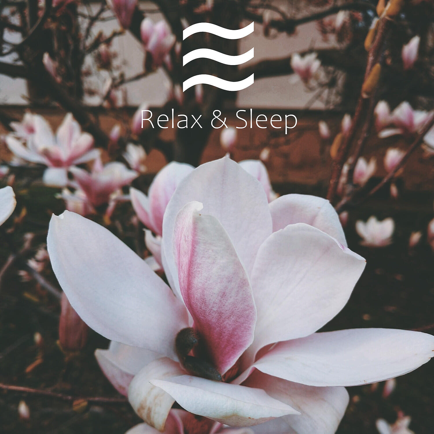 Enjoyable Soft Pink Noise - Likable Pink Sober Soft Noise