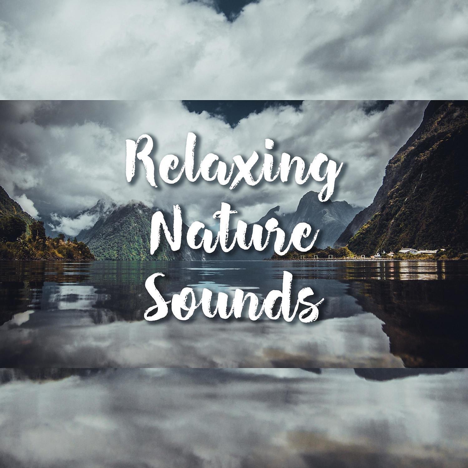 Feel Nature in Your Home - Mind Relaxing Music (Dolphin Sounds)