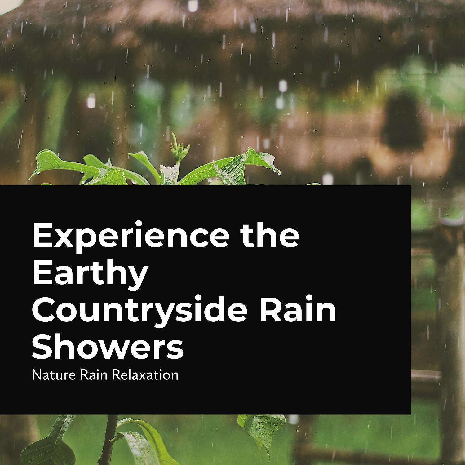 Nature Rain Relaxation - River Watercourse