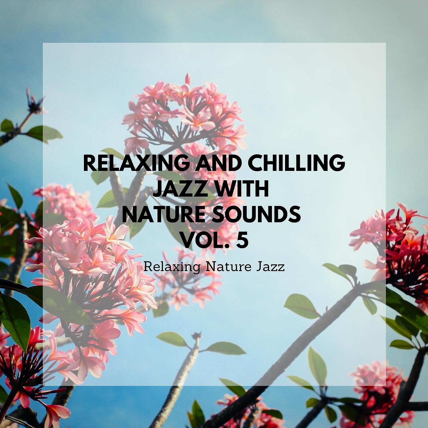 Relaxing Nature Jazz - Nature Sounds - Clear Mind (Zen Garden) (SPA Jazz Music)
