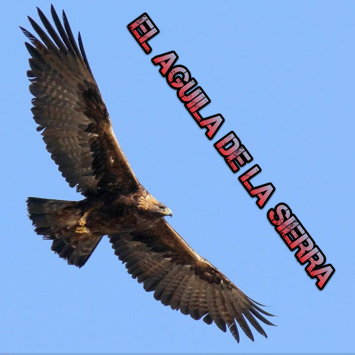 El Aguila De La Sierra - La Fuga de un sinaloense