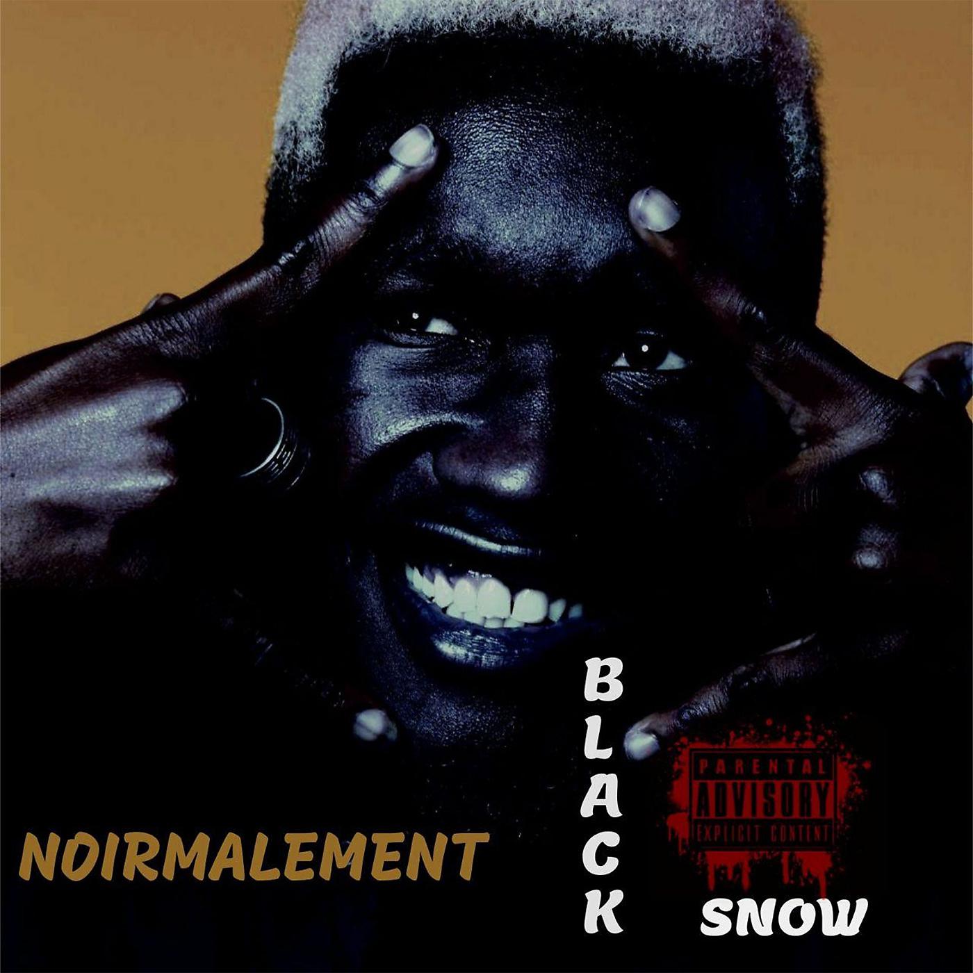 Постер альбома Noirmalement