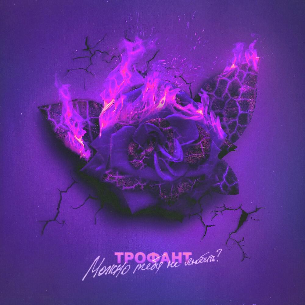 ТРОФАНТ - Можно тебя не любить? (Prod. By PolceBeats)