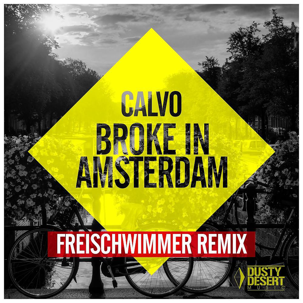 Постер альбома Broke in Amsterdam (Freischwimmer Remix)