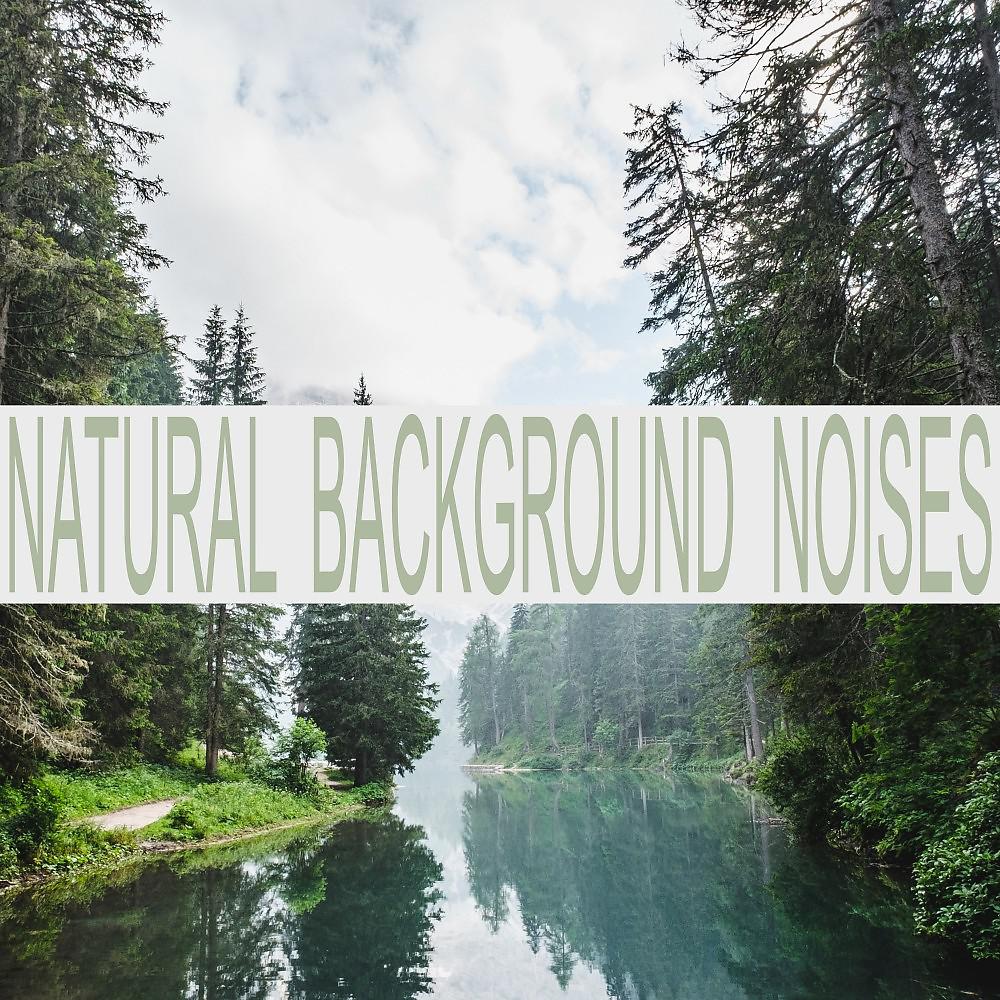 Постер альбома Natural Background Noises